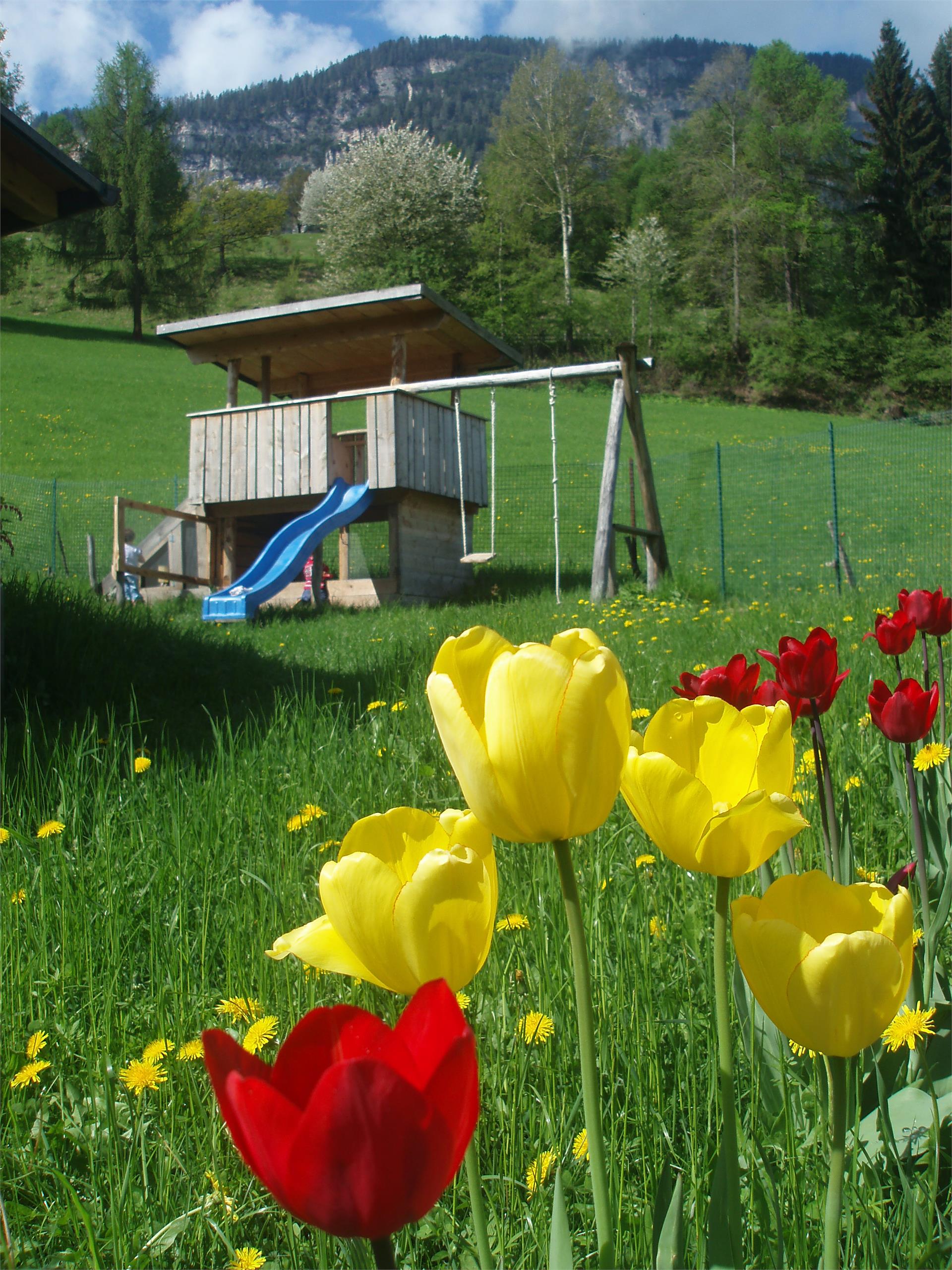 Tinnerhof - Gaiser Robert Eppan an der Weinstraße 6 suedtirol.info