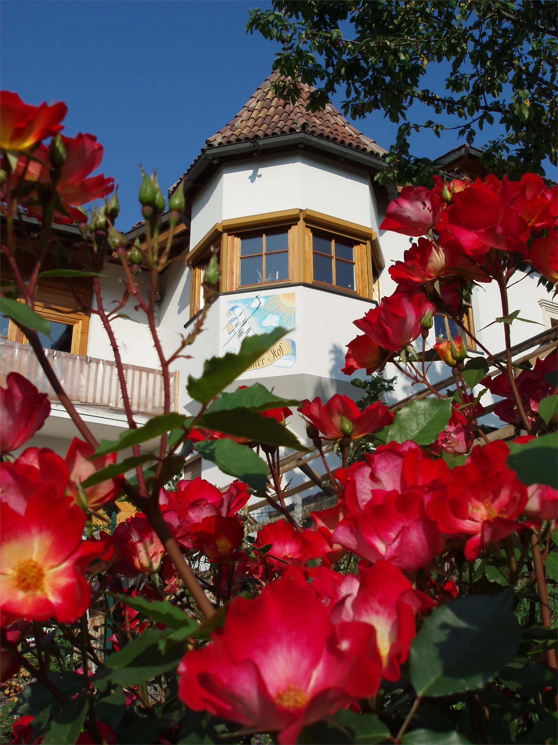Tinnerhof - Gaiser Robert Eppan an der Weinstraße 4 suedtirol.info