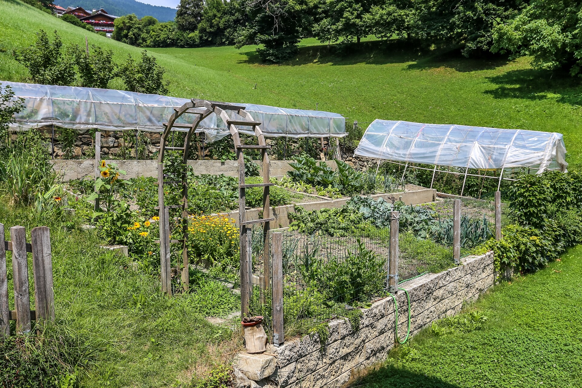 Garden