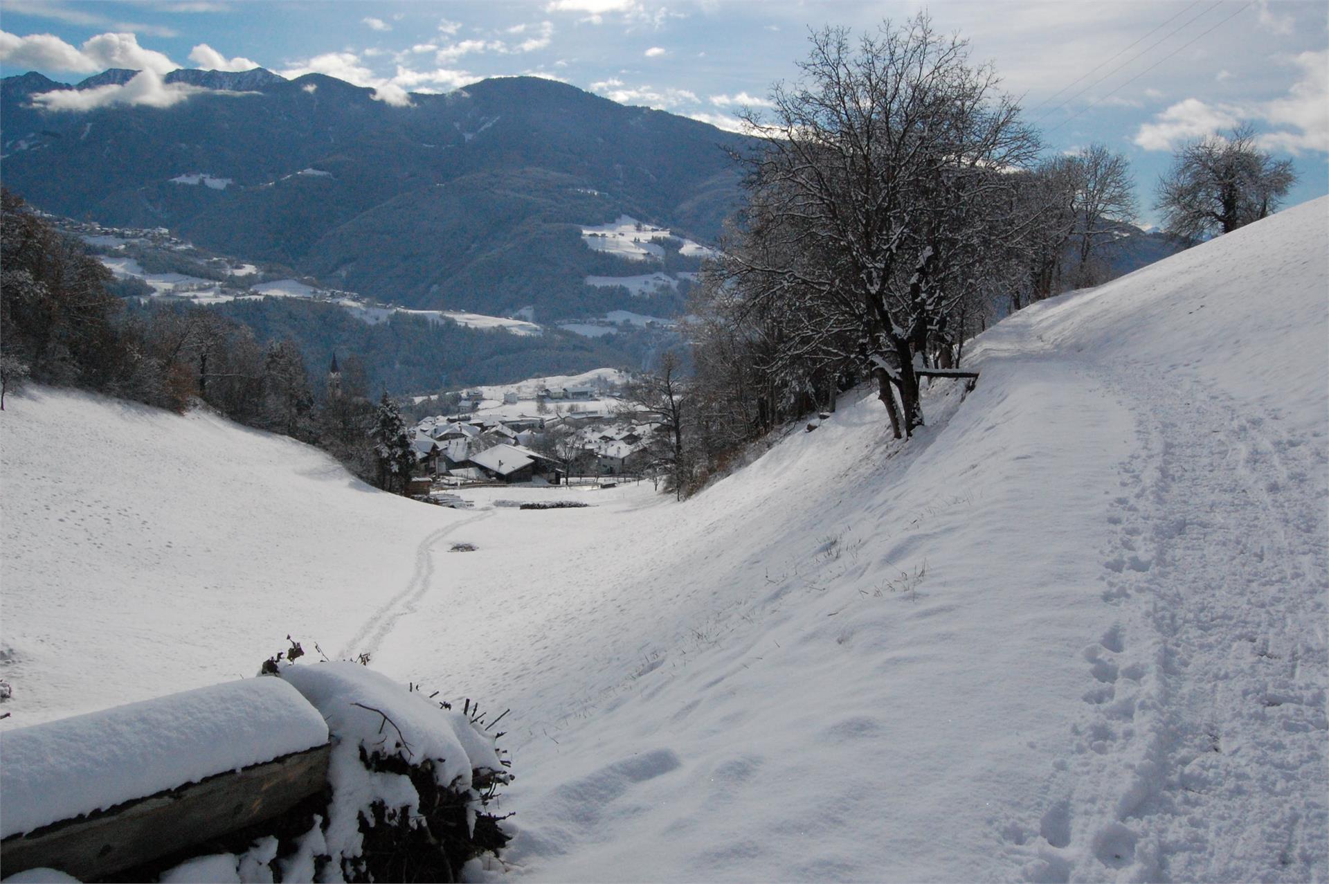Thalerhof Velturno 17 suedtirol.info