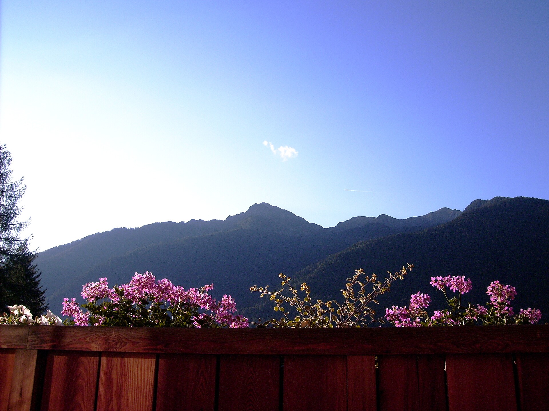 view from balcony