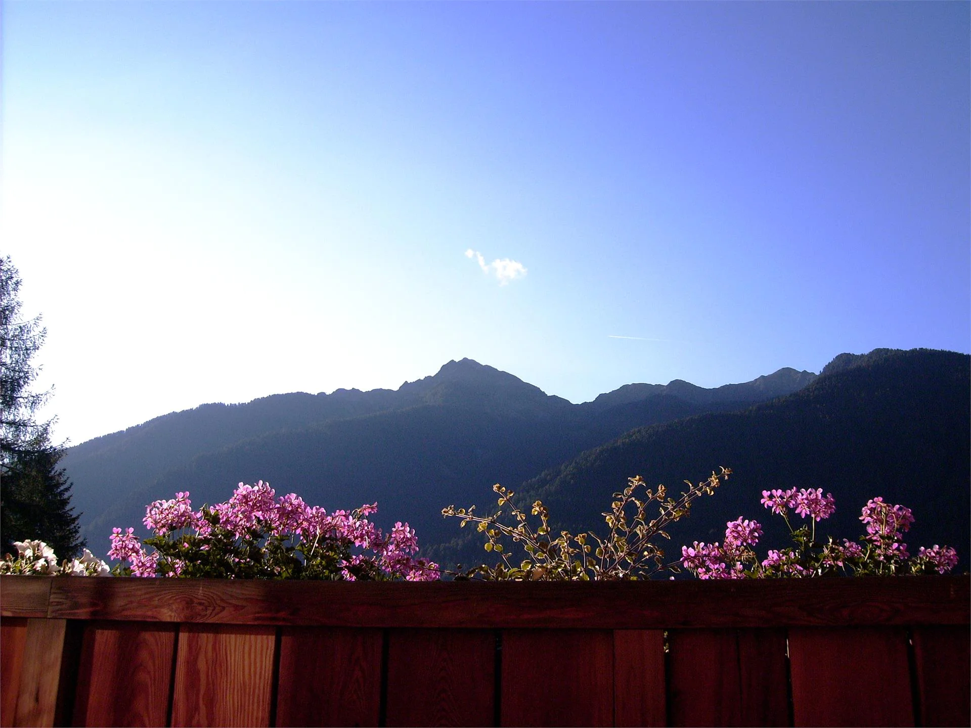 Tschurtschenmühle Ultimo 14 suedtirol.info