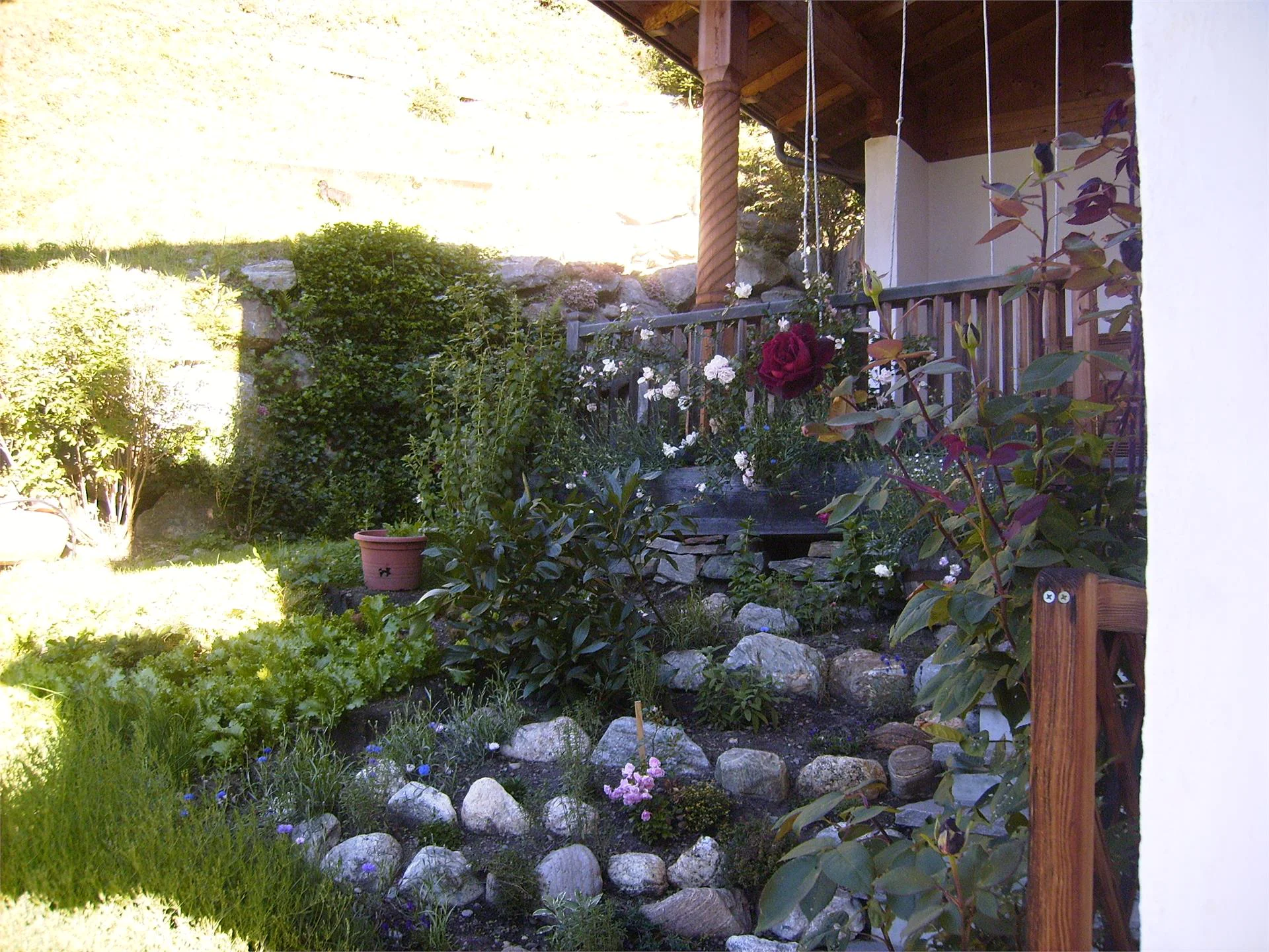 Tschurtschenmühle Ultimo 10 suedtirol.info