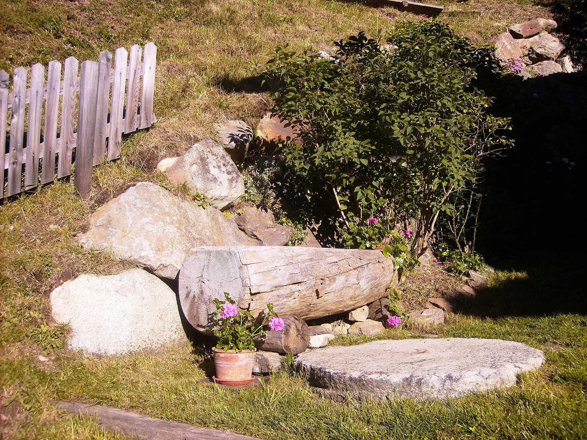 garden