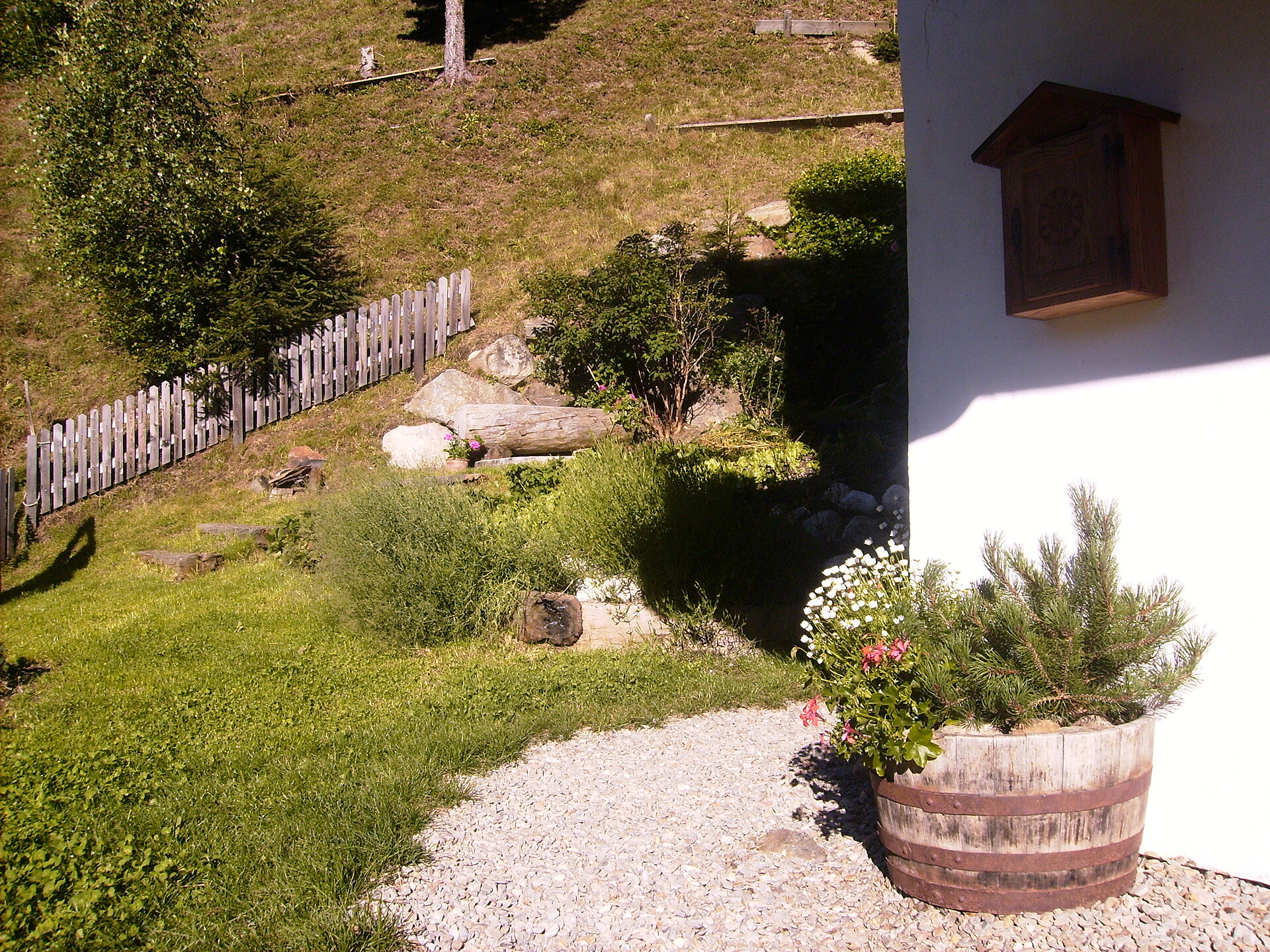 garden