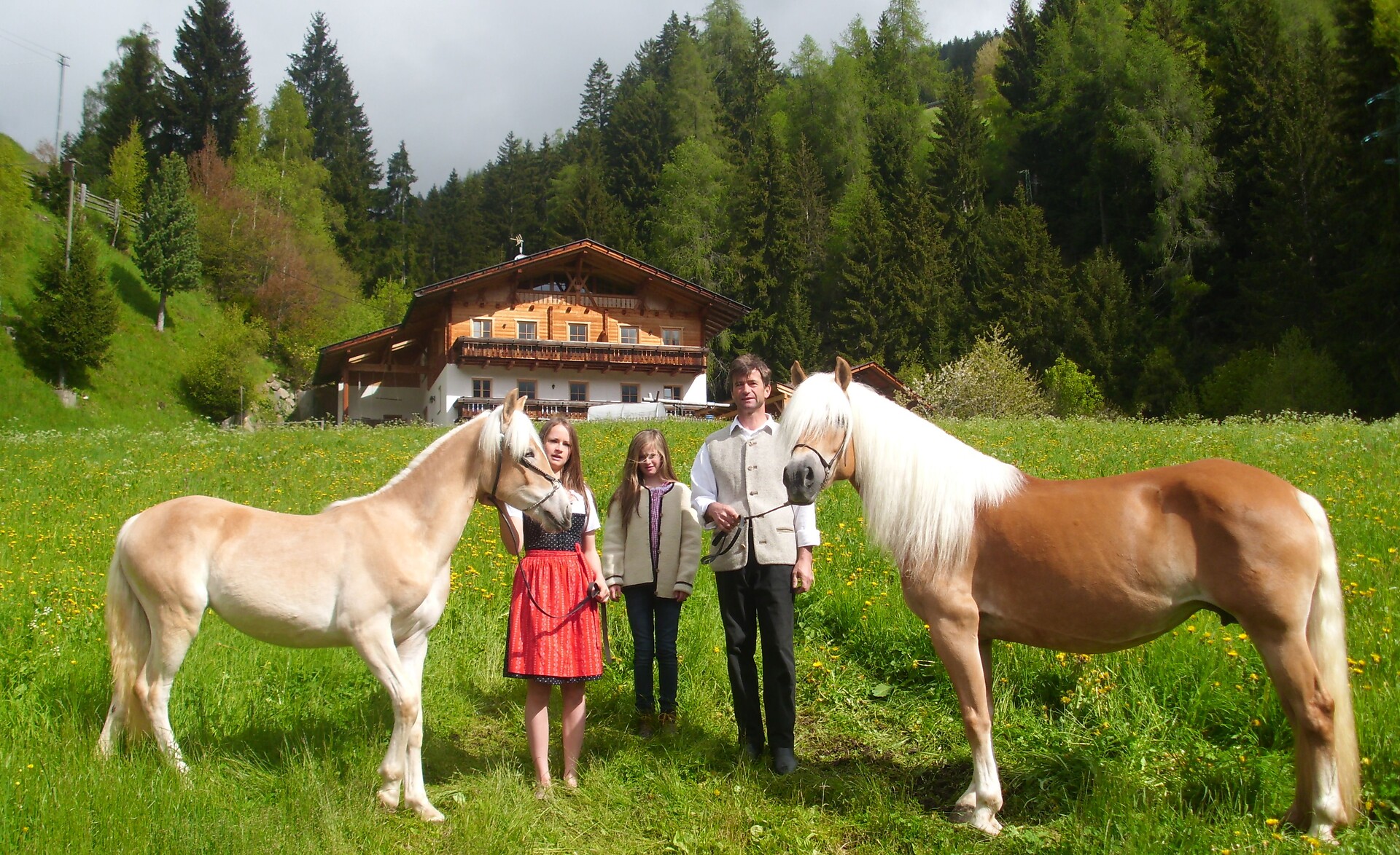 our horses