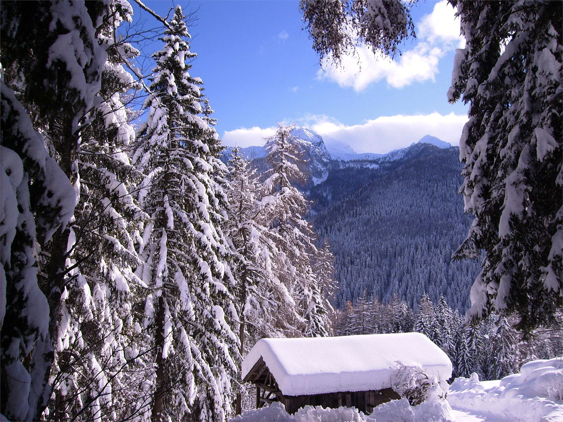 Tschurtschenmühle Ultimo 17 suedtirol.info