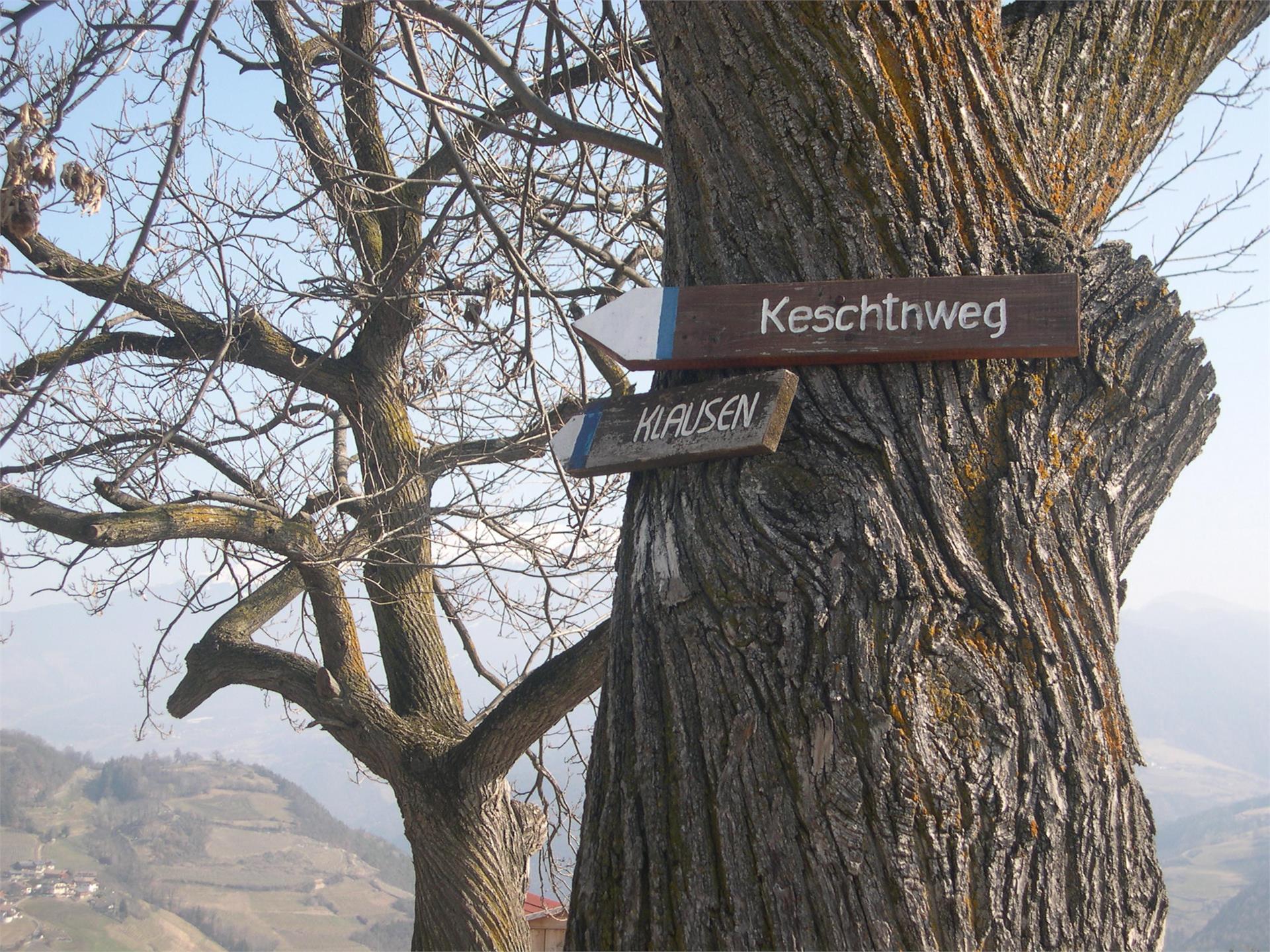 Tschotthof Villanders 5 suedtirol.info