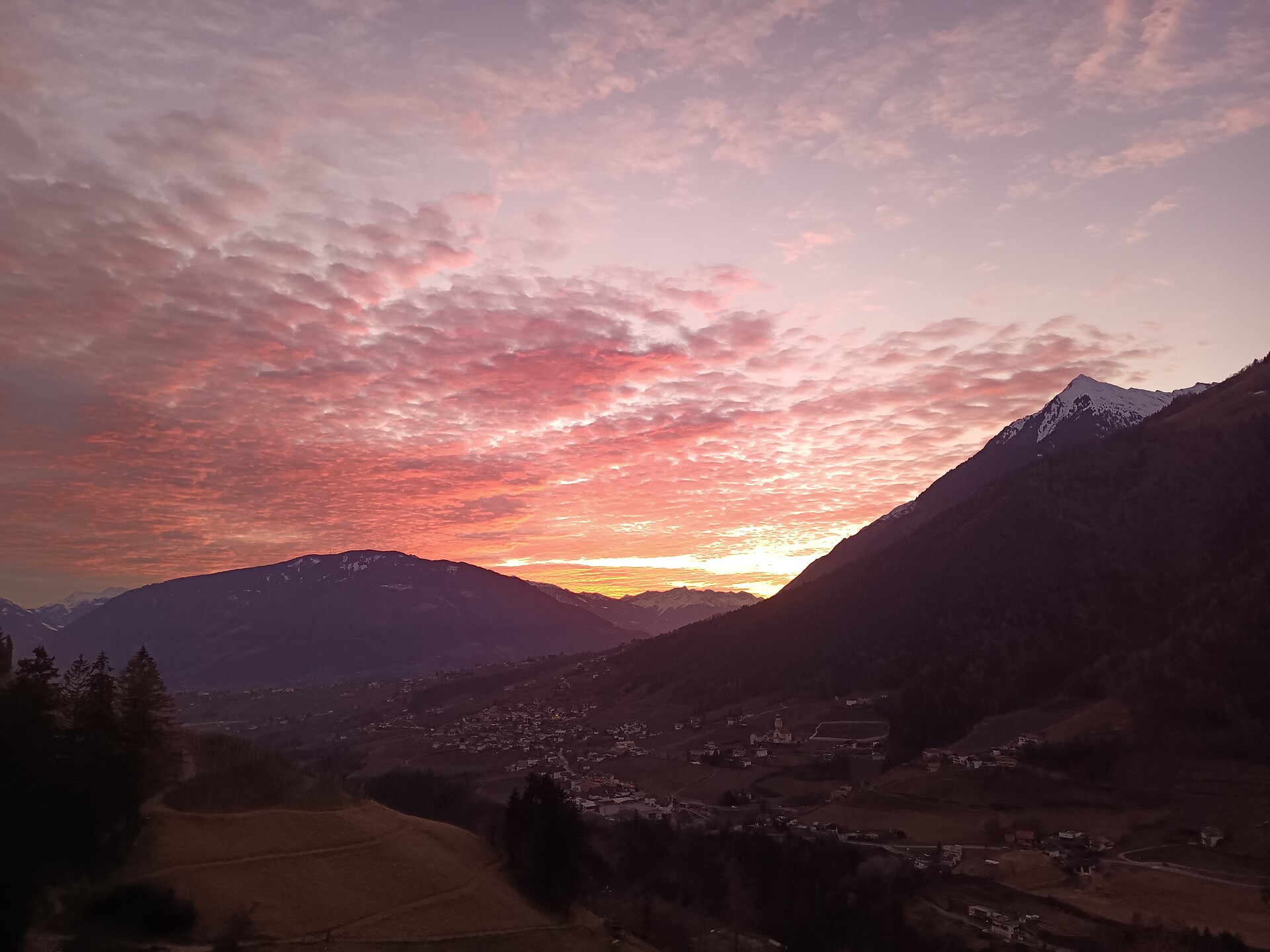 Tholerhof Schenna 5 suedtirol.info