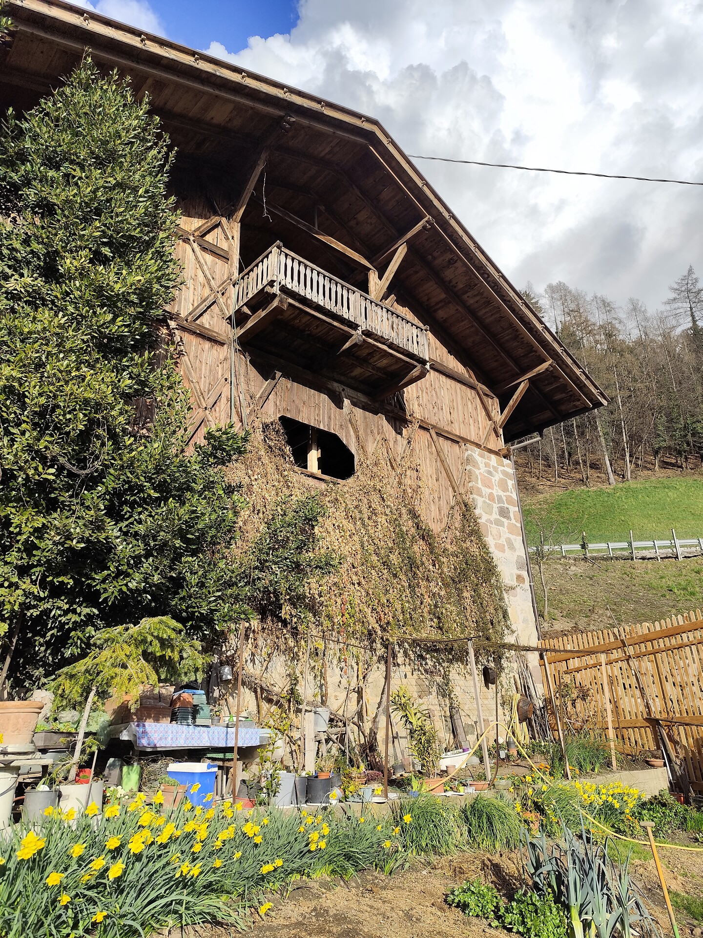 Tholerhof Schenna 17 suedtirol.info