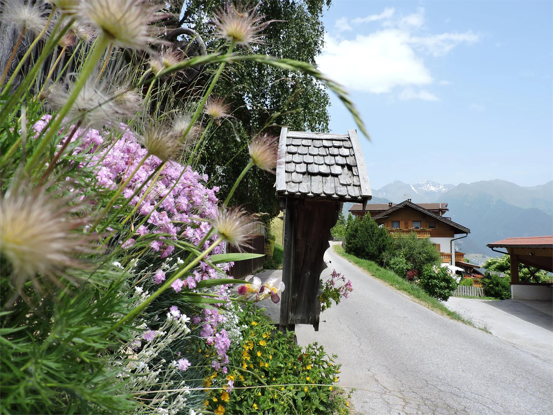 Turlerhof Freienfeld/Campo di Trens 11 suedtirol.info