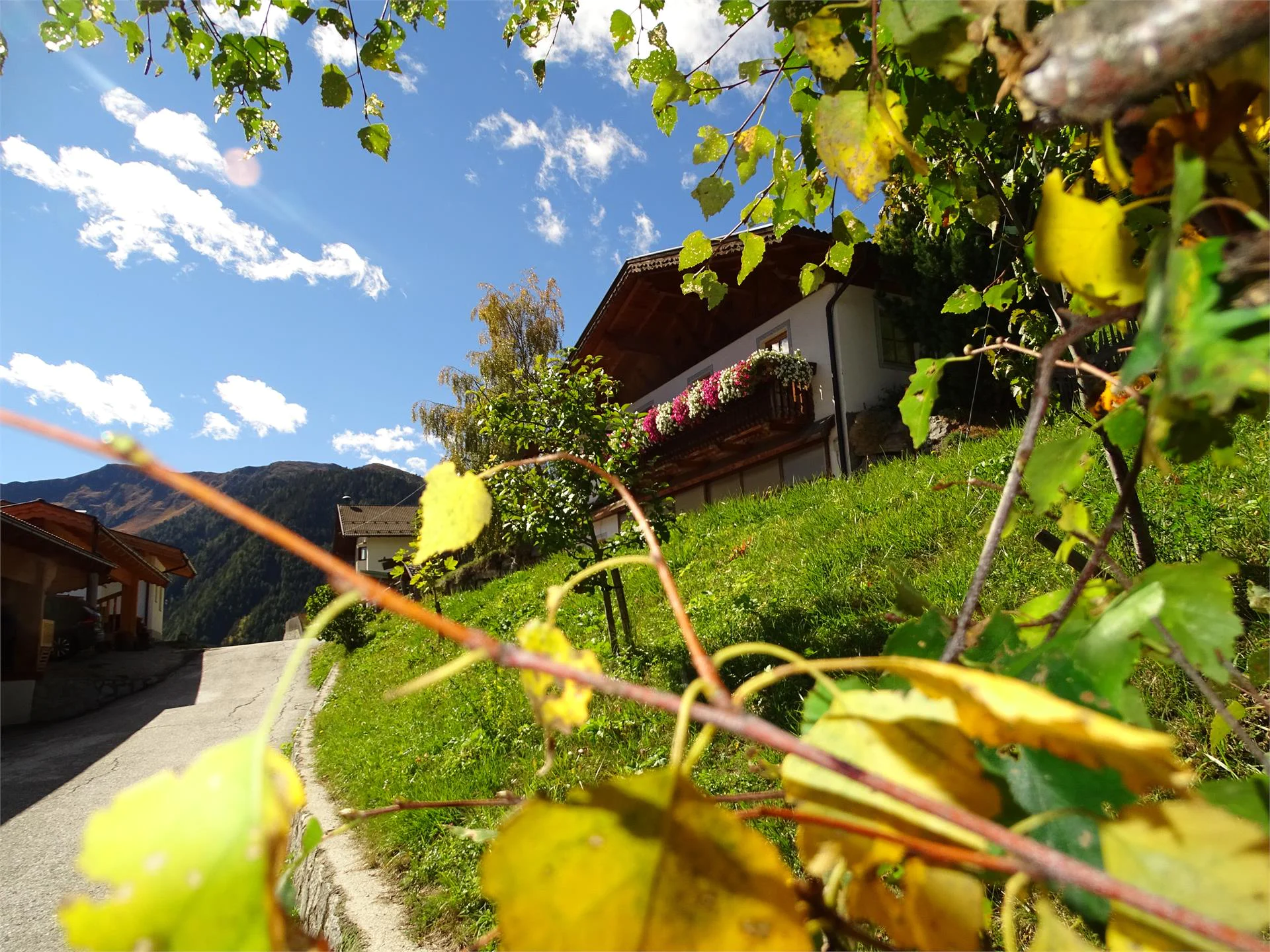 Turlerhof Freienfeld/Campo di Trens 6 suedtirol.info