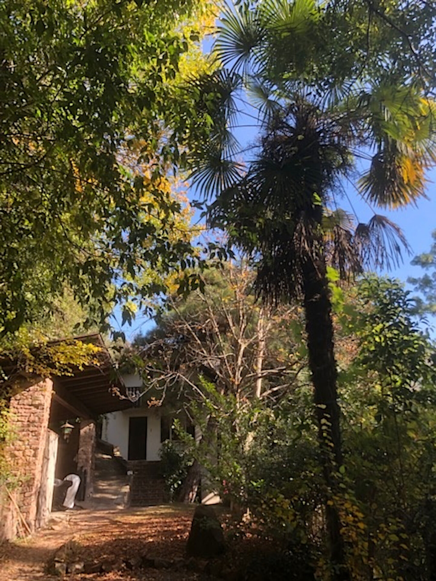 TORRE HOME