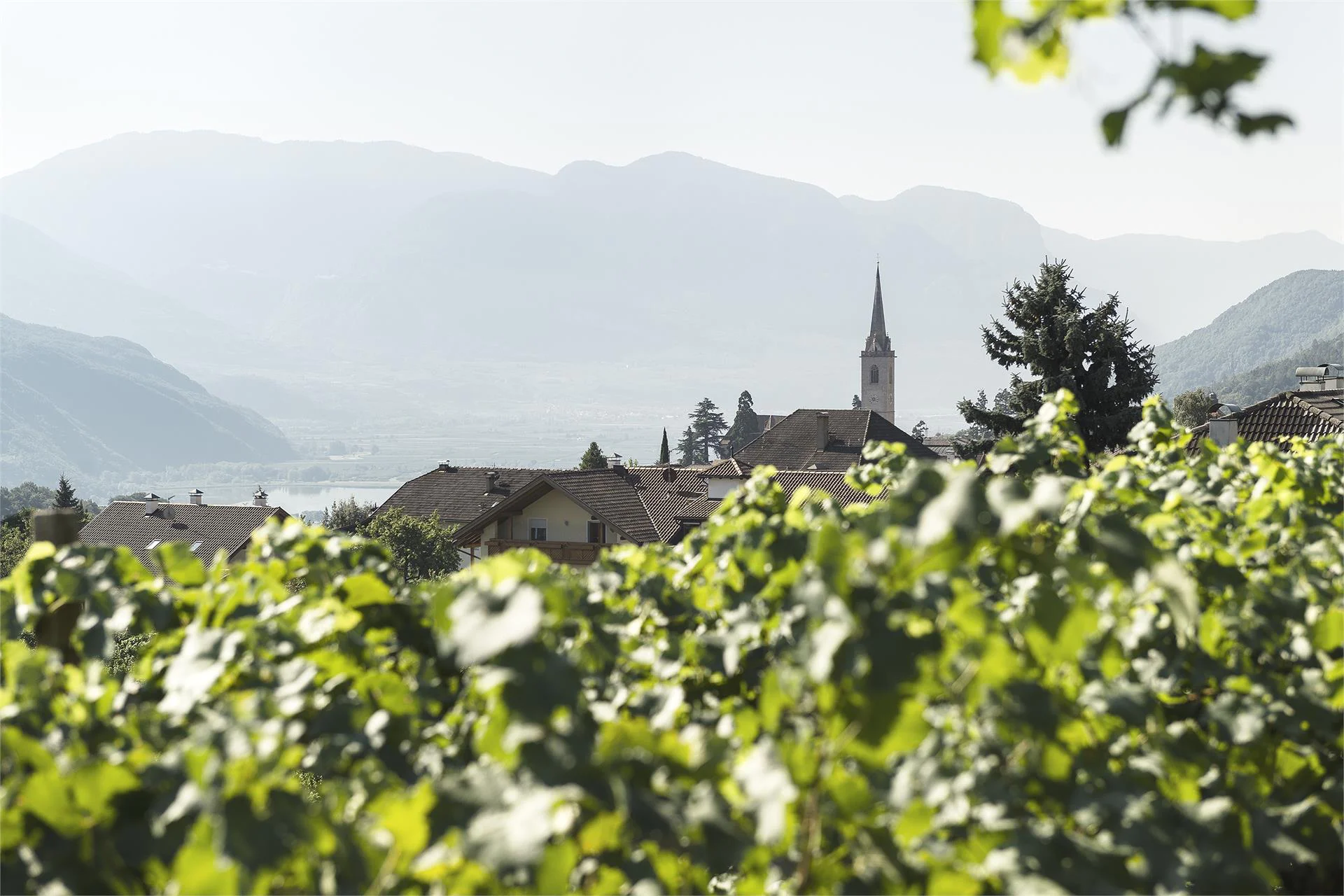 Torgglhof Caldaro sulla Strada del Vino 5 suedtirol.info