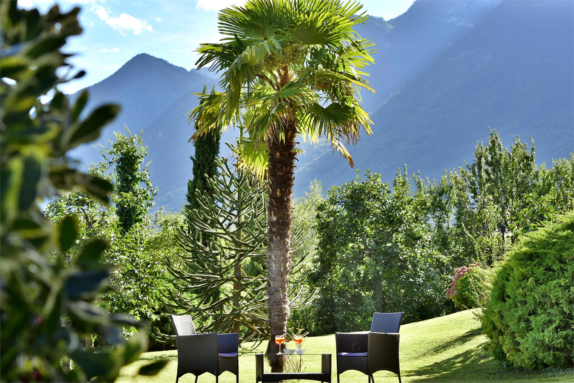 Torgglhof Caldaro sulla Strada del Vino 4 suedtirol.info