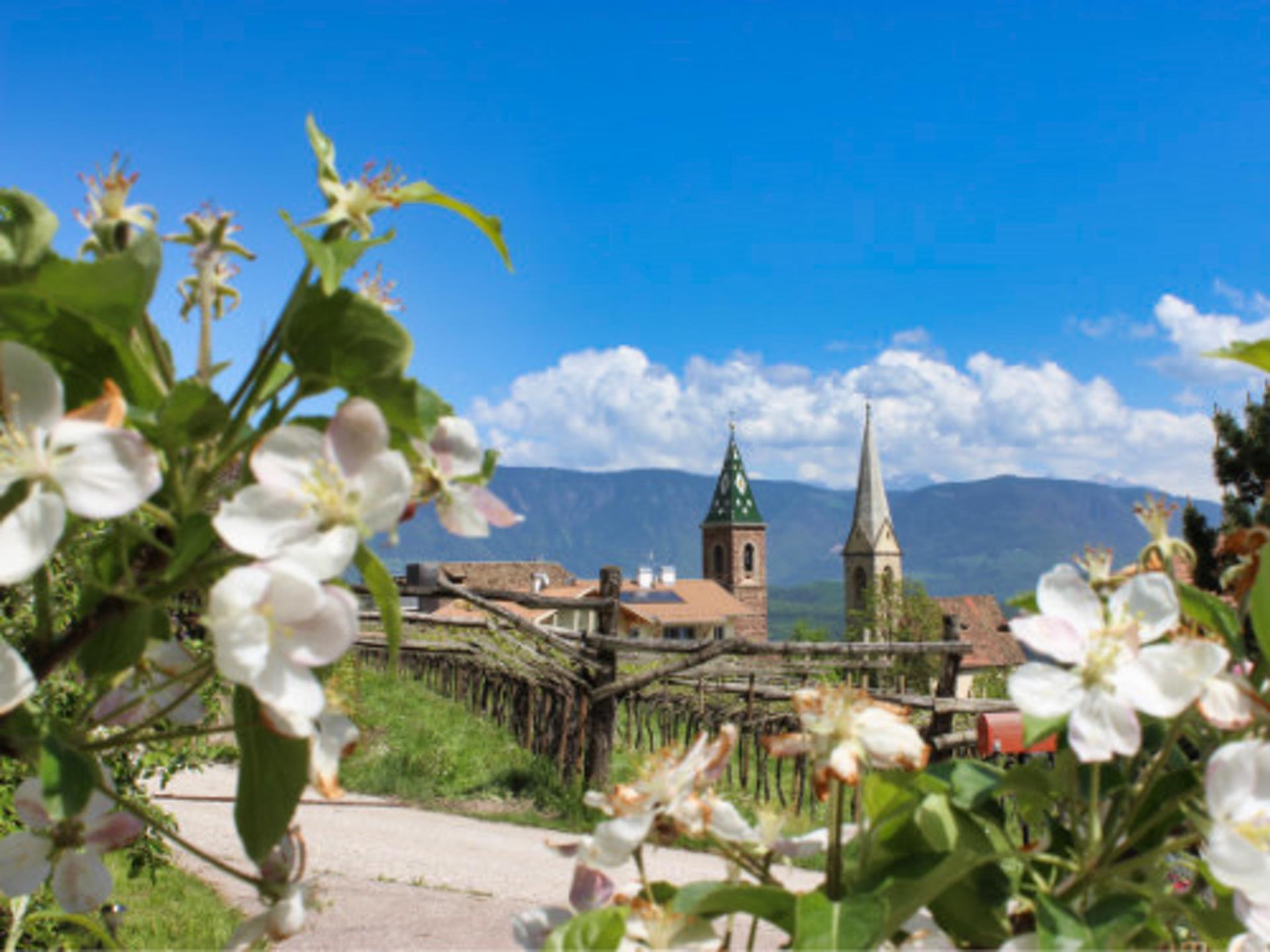 Teufelstein Kaltern an der Weinstraße/Caldaro sulla Strada del Vino 7 suedtirol.info