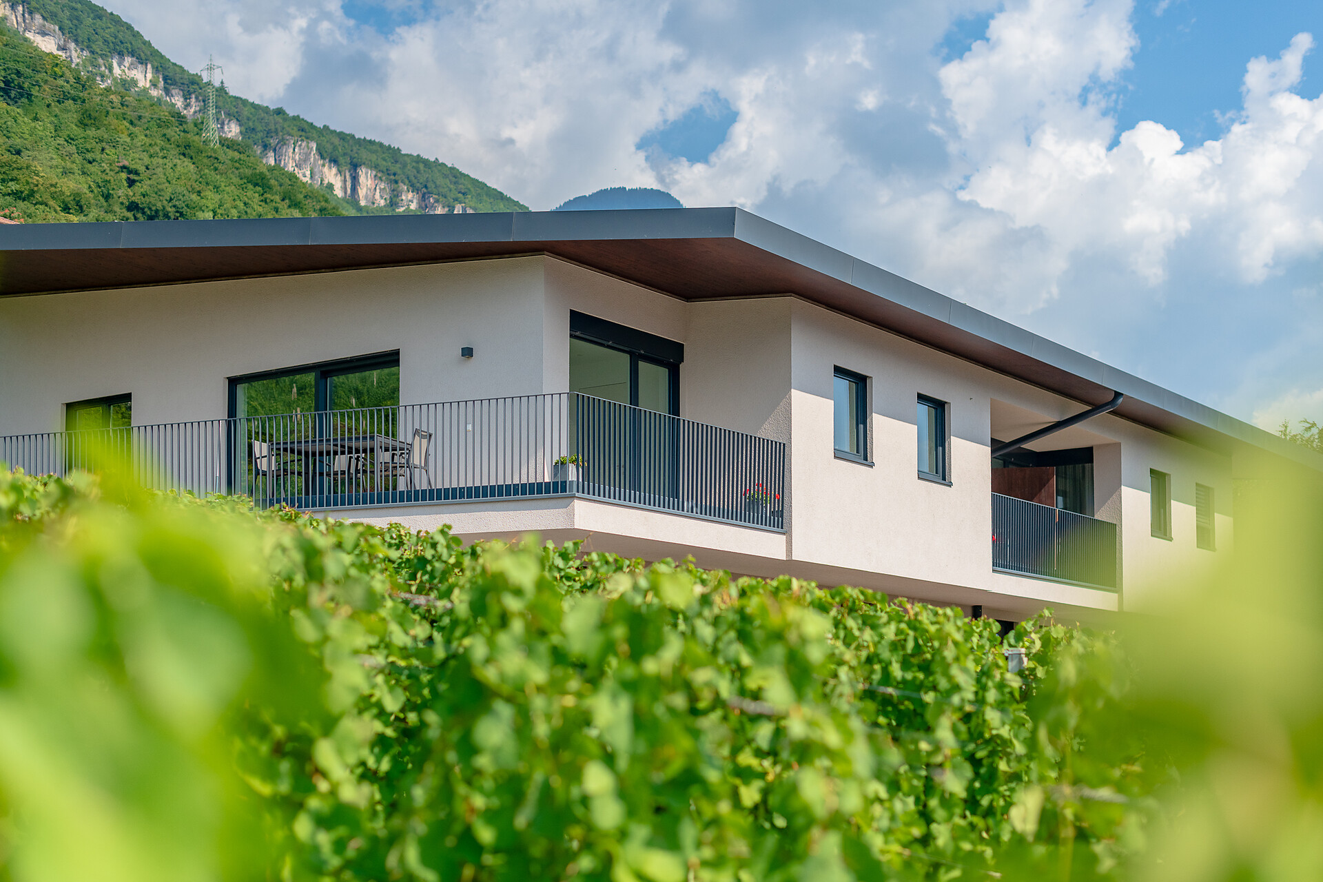 Tholr Ferienwohnungen - Südtiroler Weinstraße - #13 - suedtirol.info