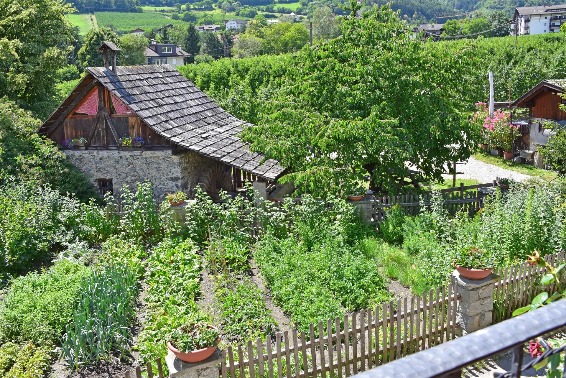 Maso Tschiederer Varna 16 suedtirol.info