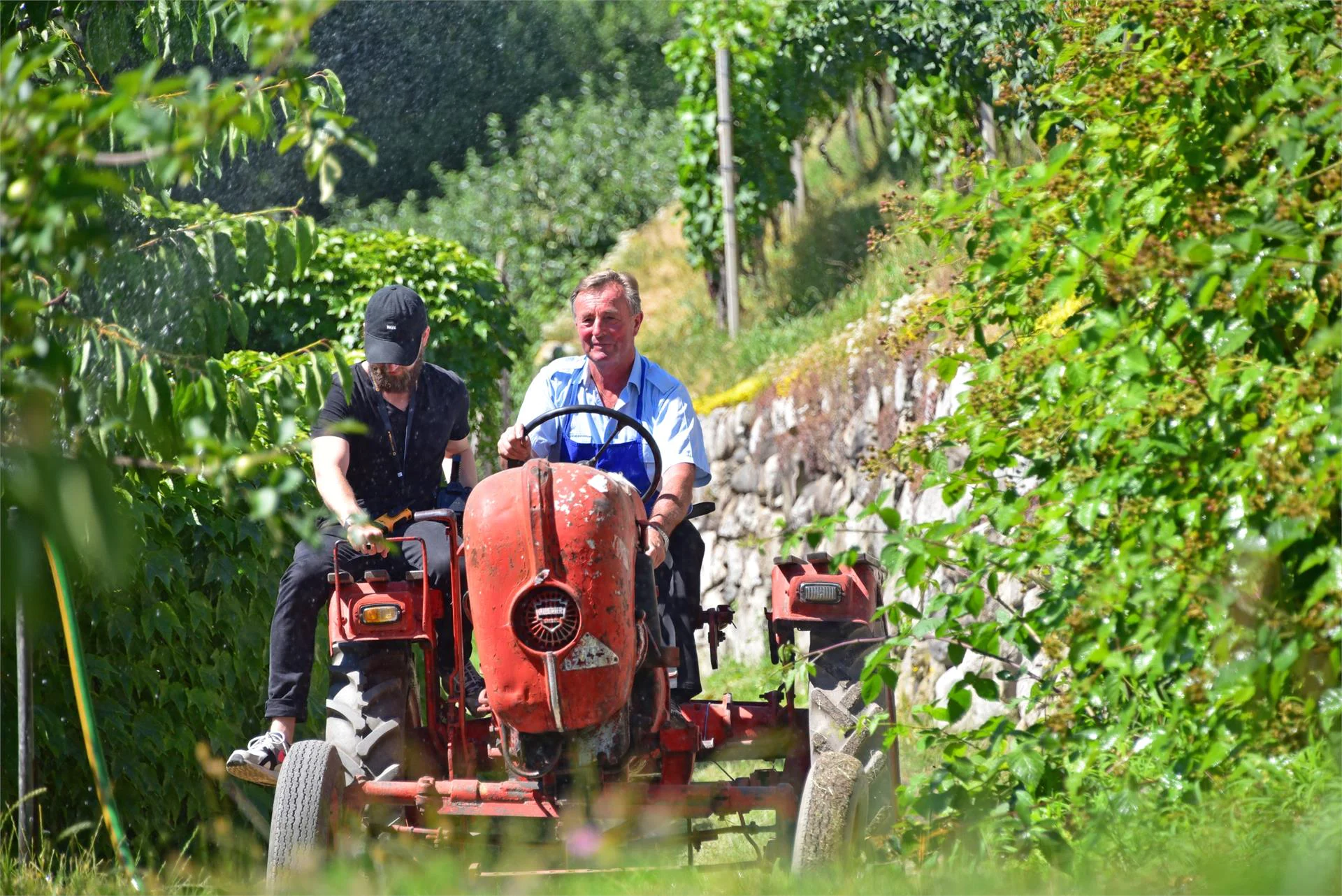 Maso Tschiederer Varna 5 suedtirol.info