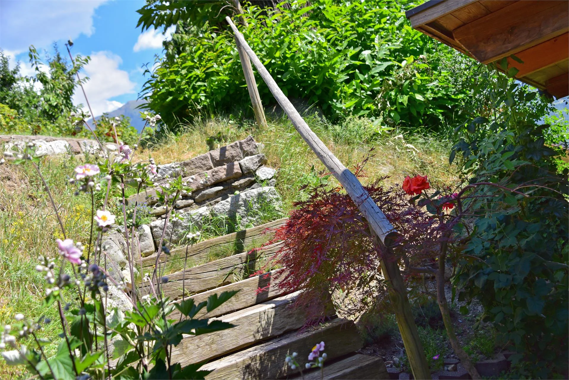 Maso Tschiederer Varna 18 suedtirol.info