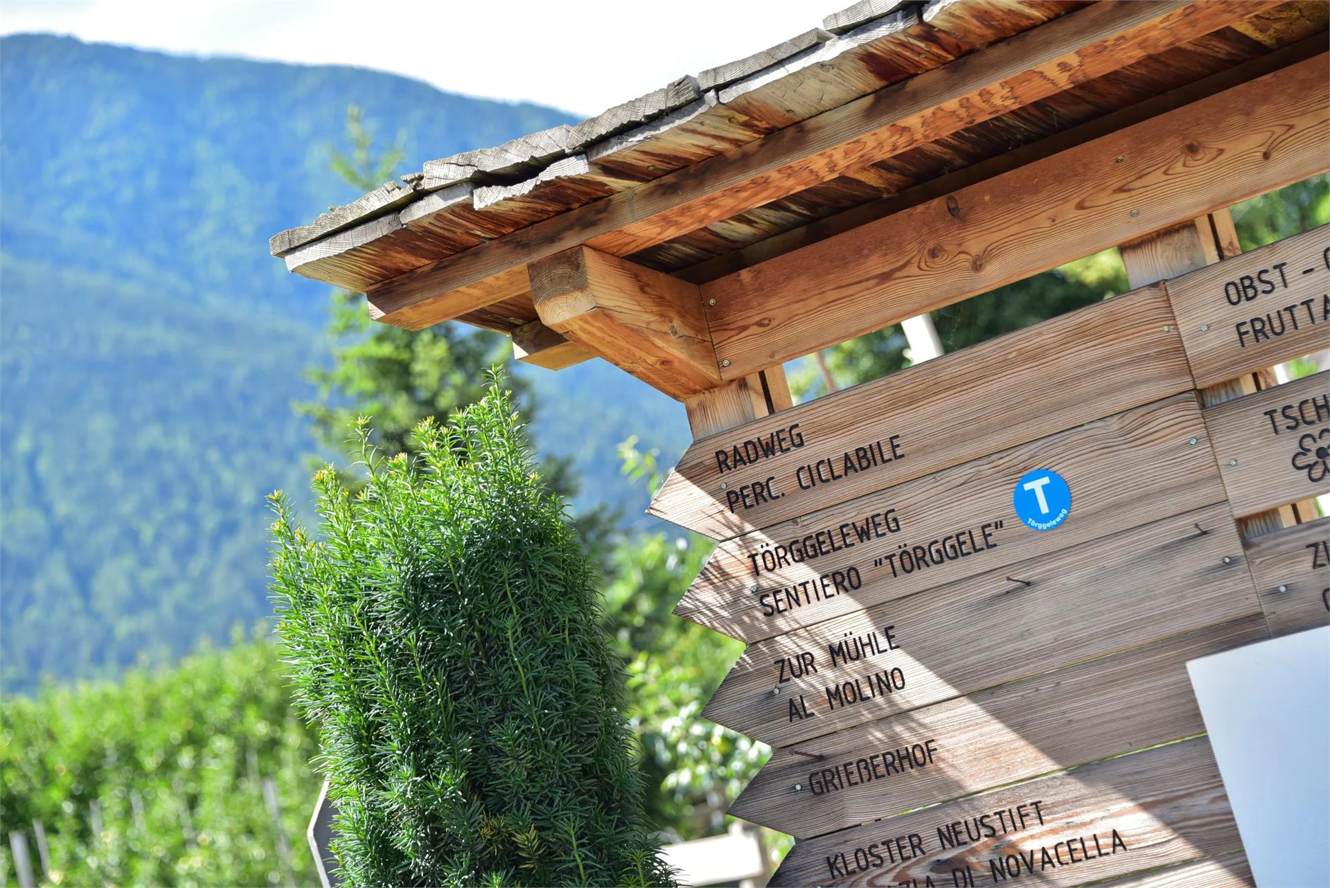 Maso Tschiederer Varna 19 suedtirol.info