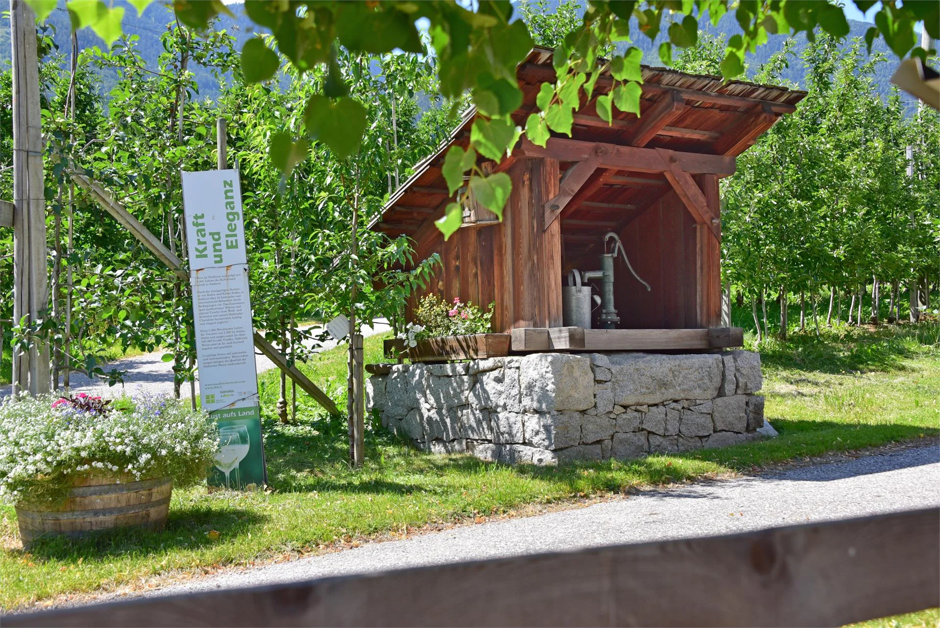 Maso Tschiederer Varna 15 suedtirol.info