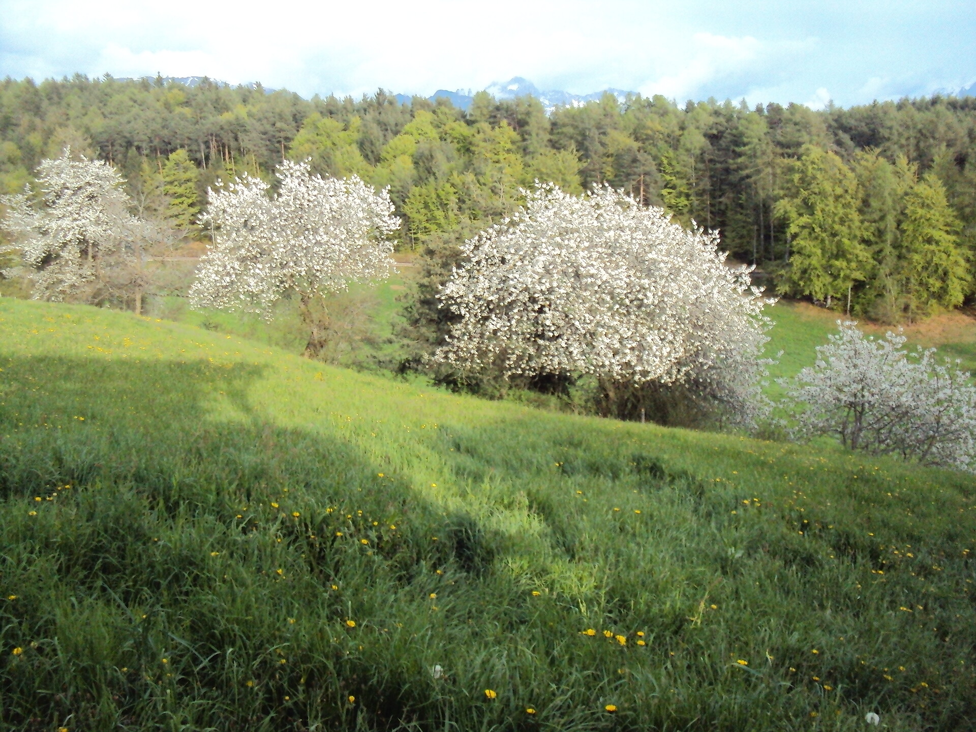 Trotnerhof, Urlaub auf dem Bauernhof, Ritten