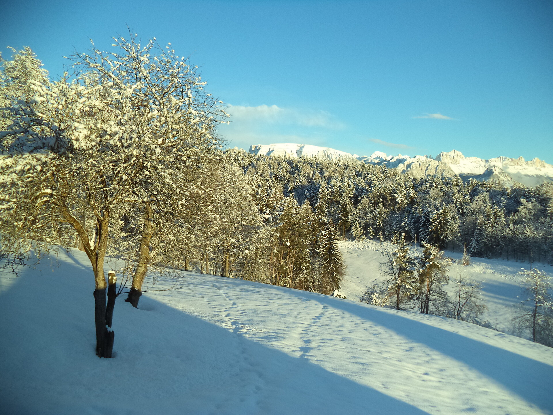 Trotnerhof, Urlaub auf dem Bauernhof, Ritten