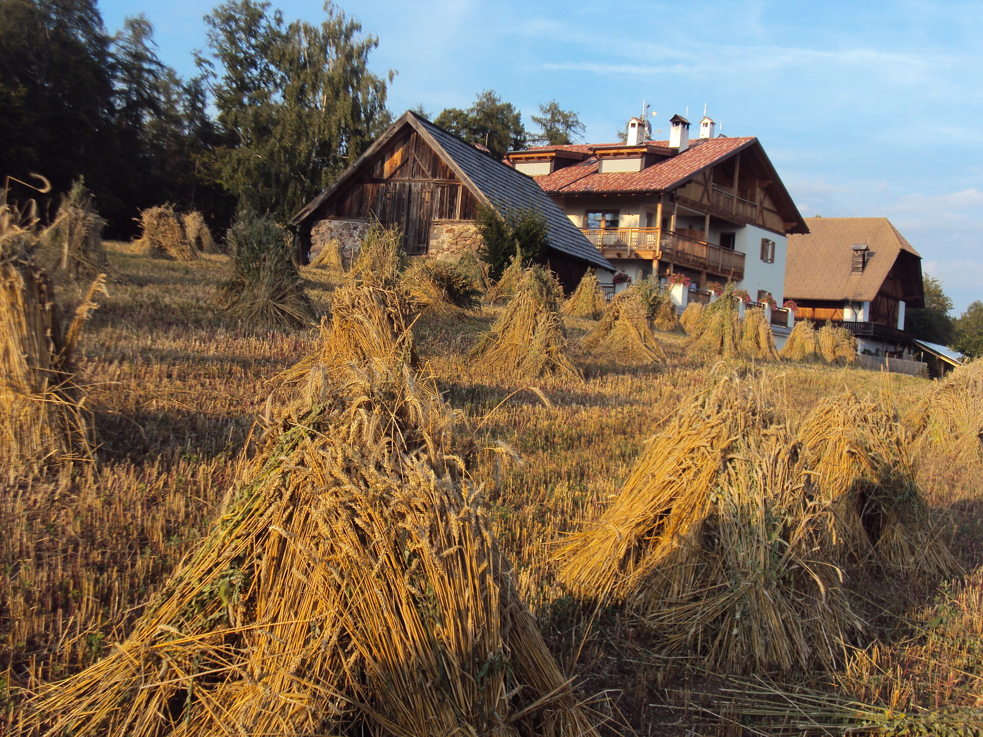 Trotnerhof, Urlaub auf dem Bauernhof, Ritten