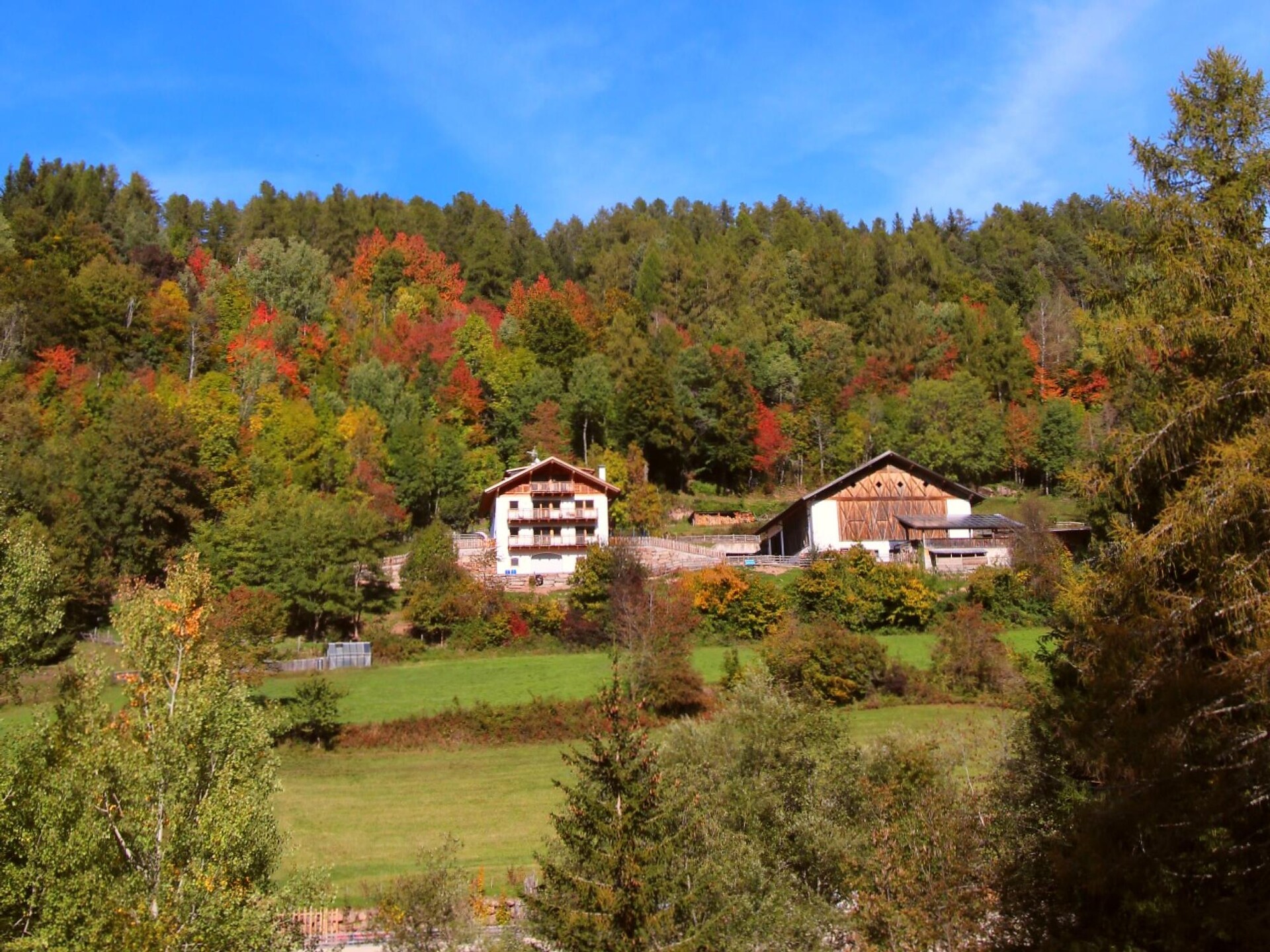Töniglerhof