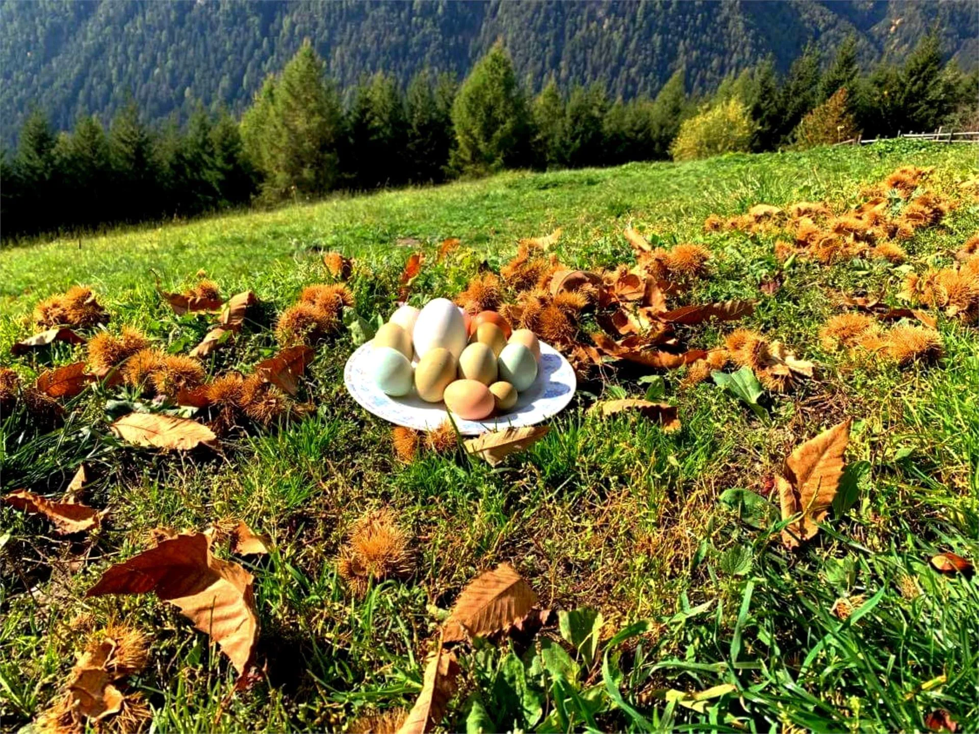 Töniglerhof Truden/Trodena 24 suedtirol.info