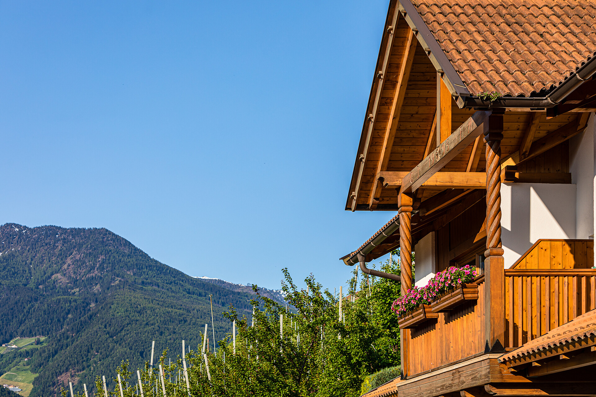 View from the Talgütlhof