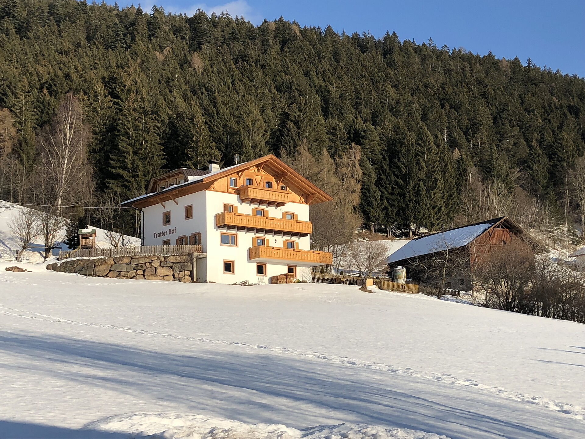 Winter