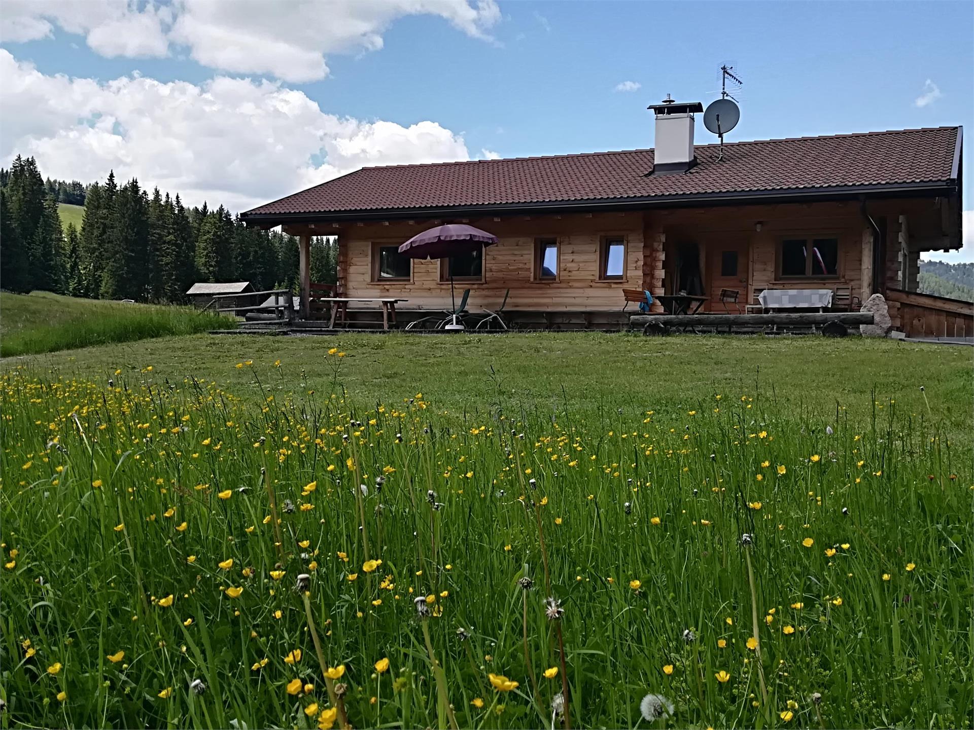 Mountain hut Tirler Schwaige Kastelruth/Castelrotto 1 suedtirol.info