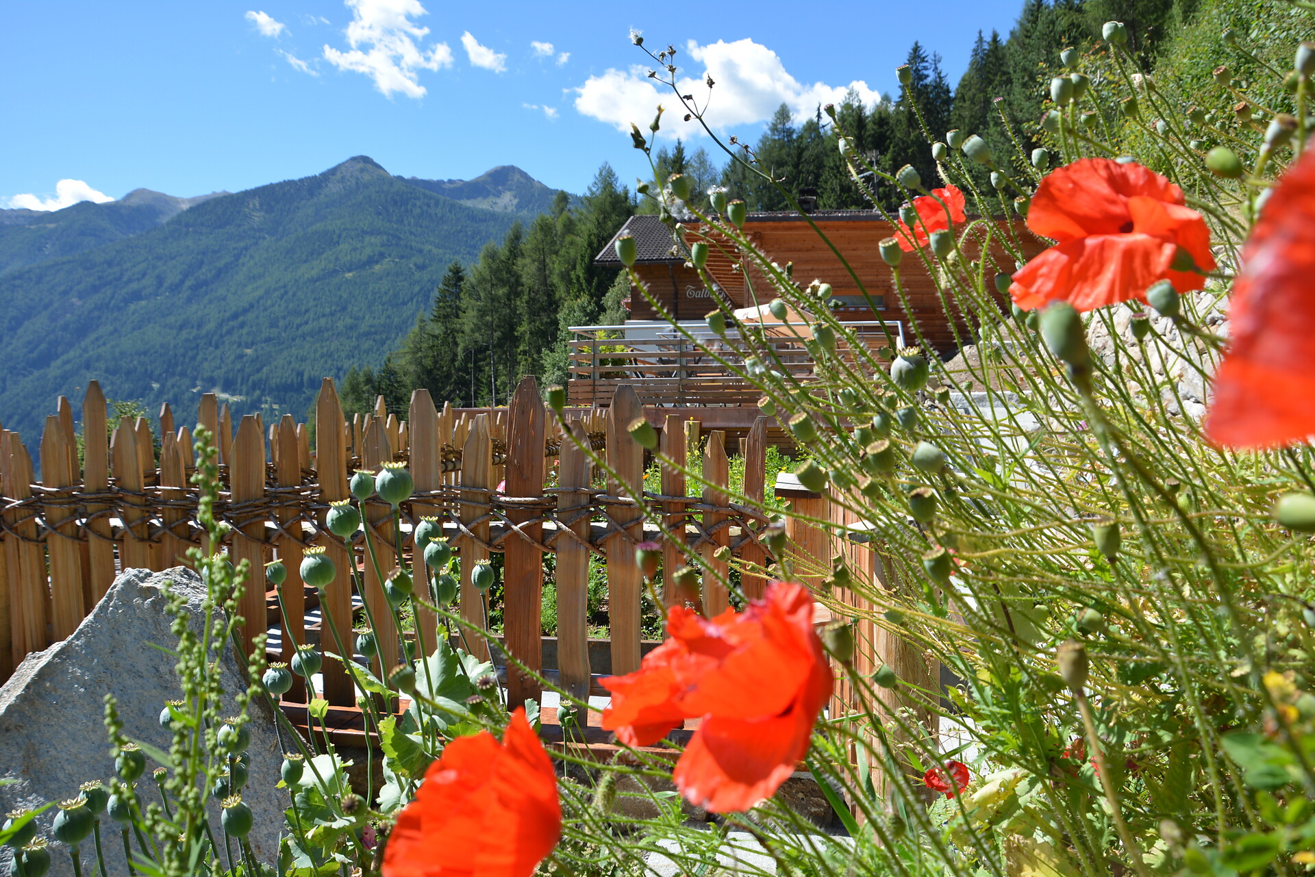 Talblick Apart-Chalet Ahrntal 11 suedtirol.info