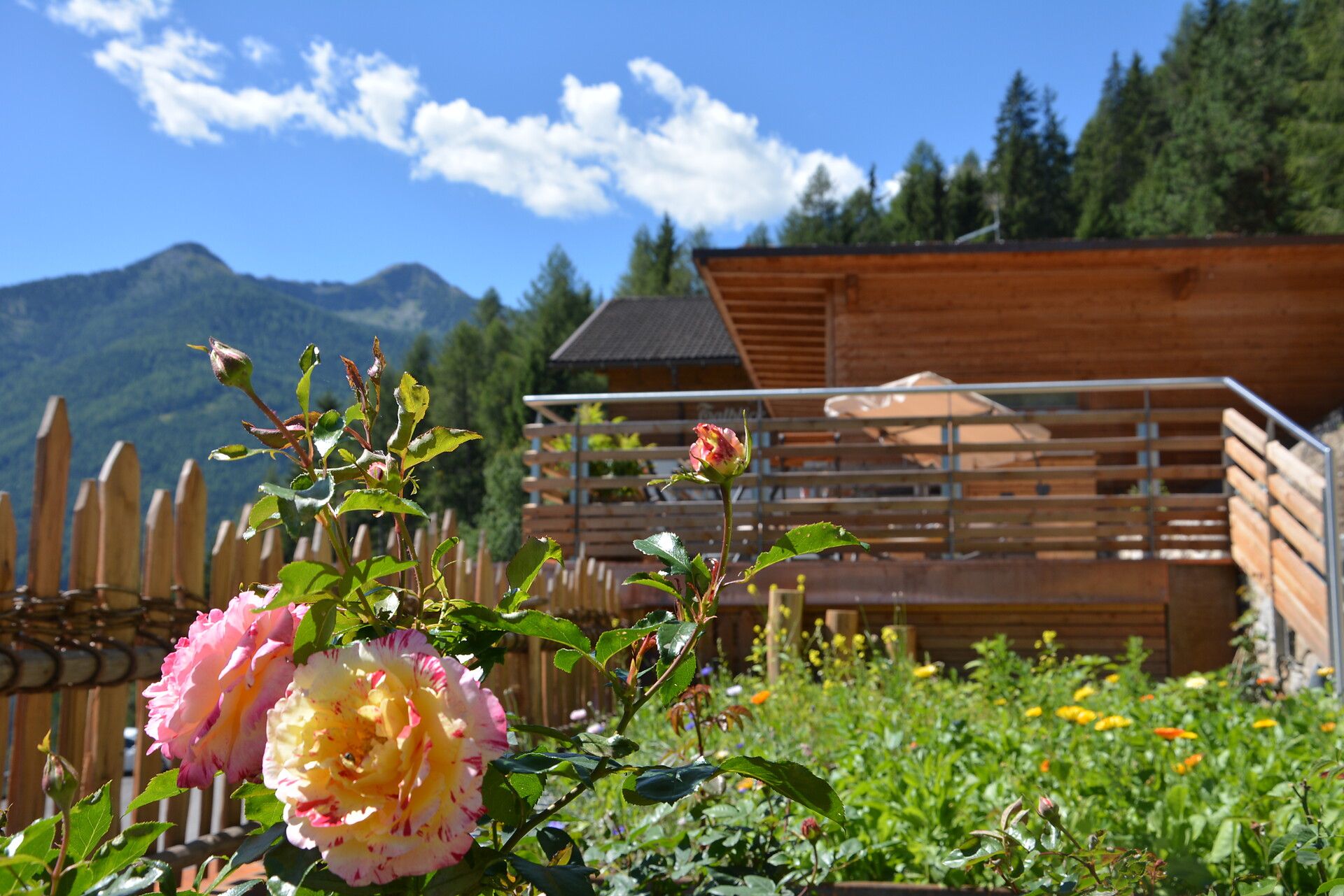 Talblick Apart-Chalet Ahrntal 9 suedtirol.info