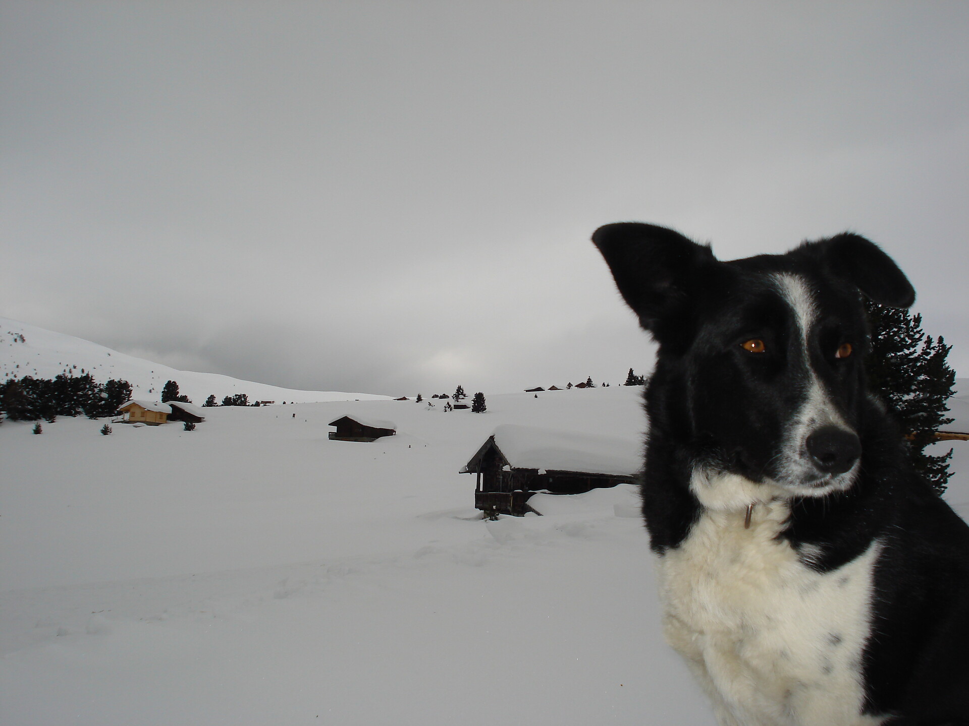 LEa in the mountains