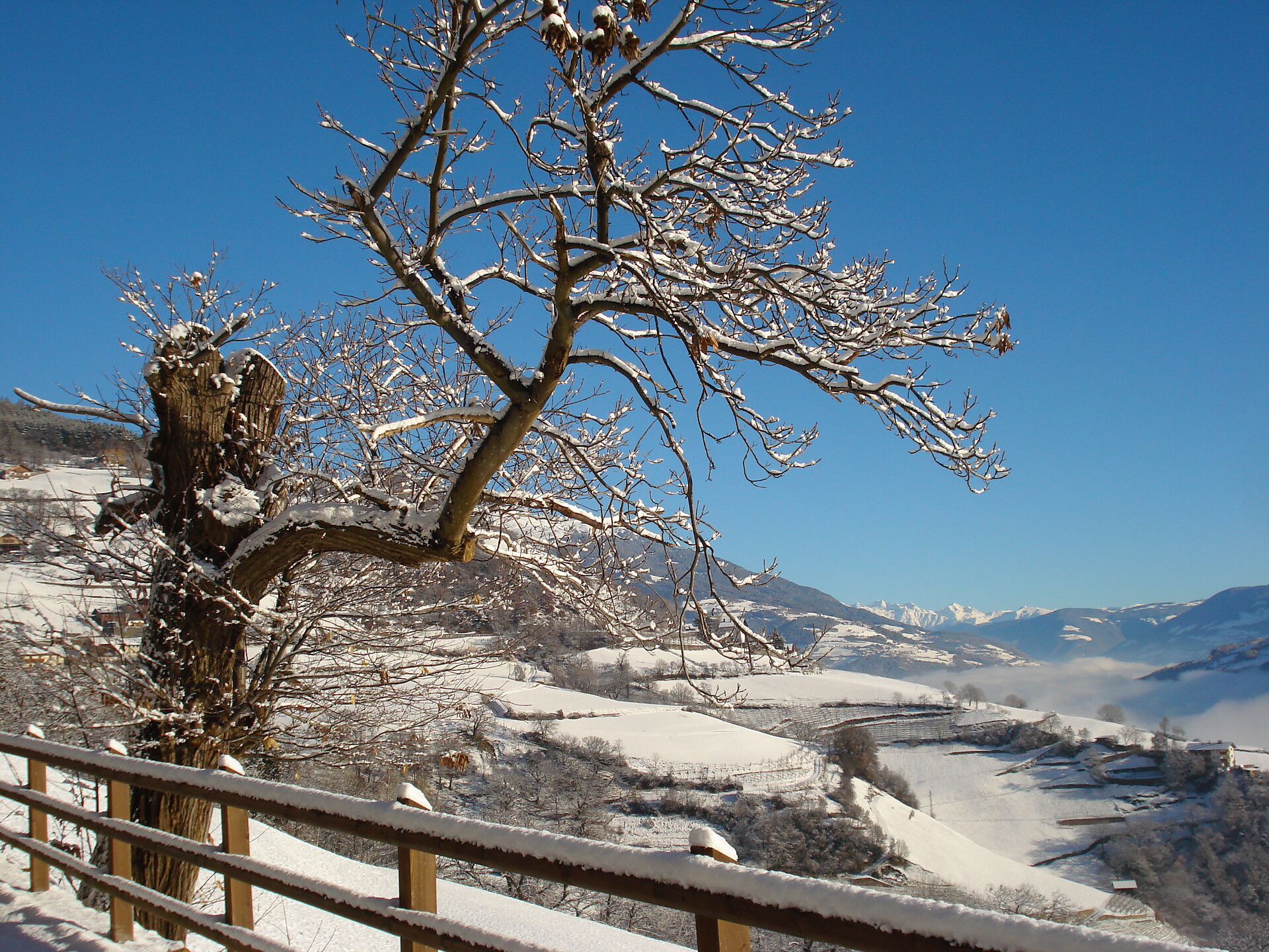Winterwonderland