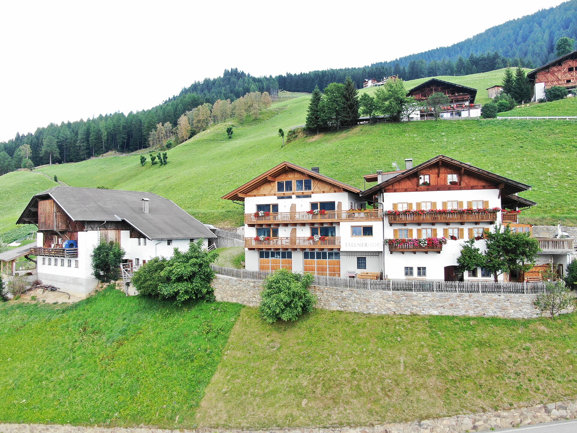 Hofstelle