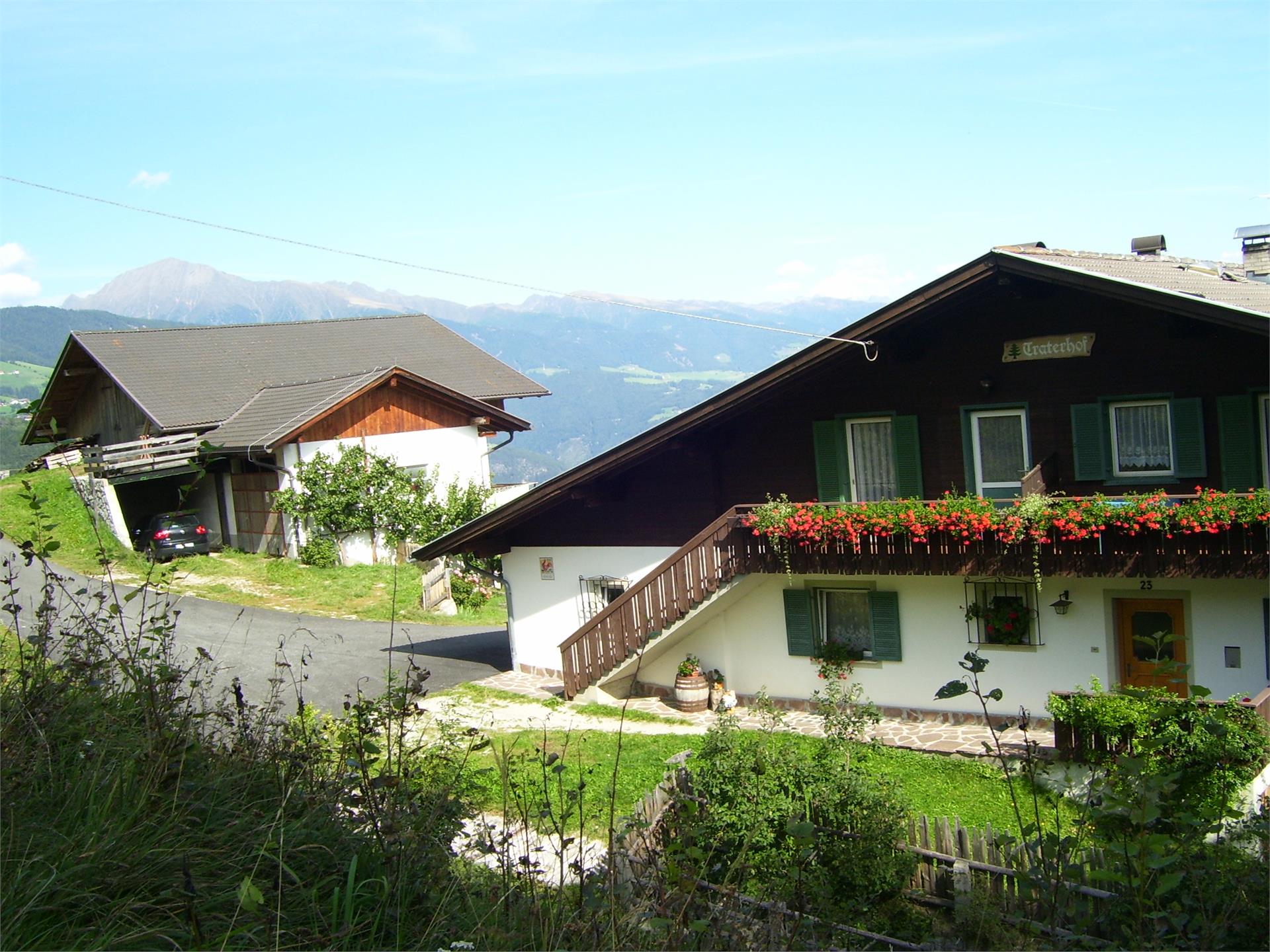 Traterhof Mühlbach 7 suedtirol.info