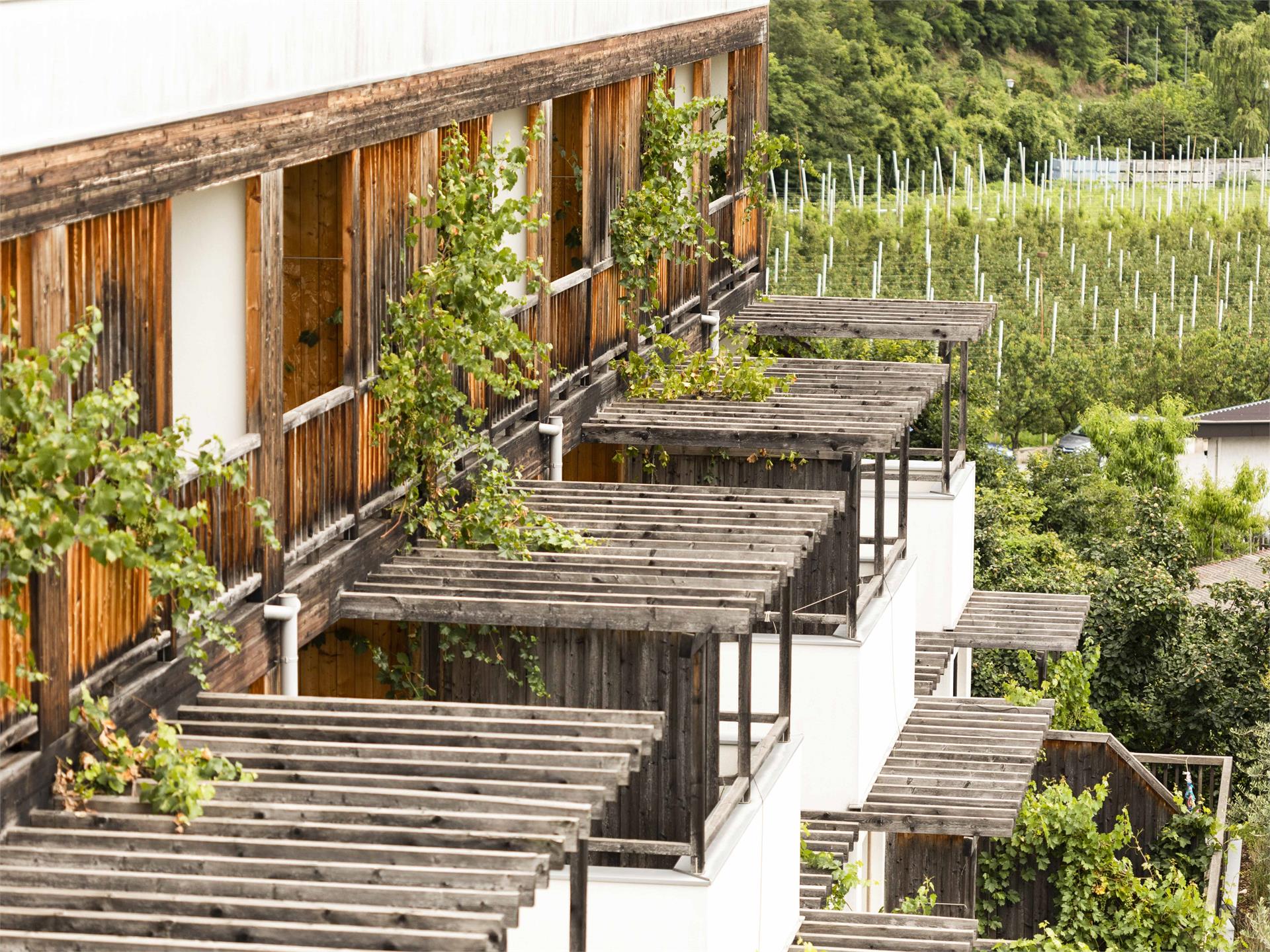 theiner's garten Bio Vitalhotel Gargazon/Gargazzone 30 suedtirol.info