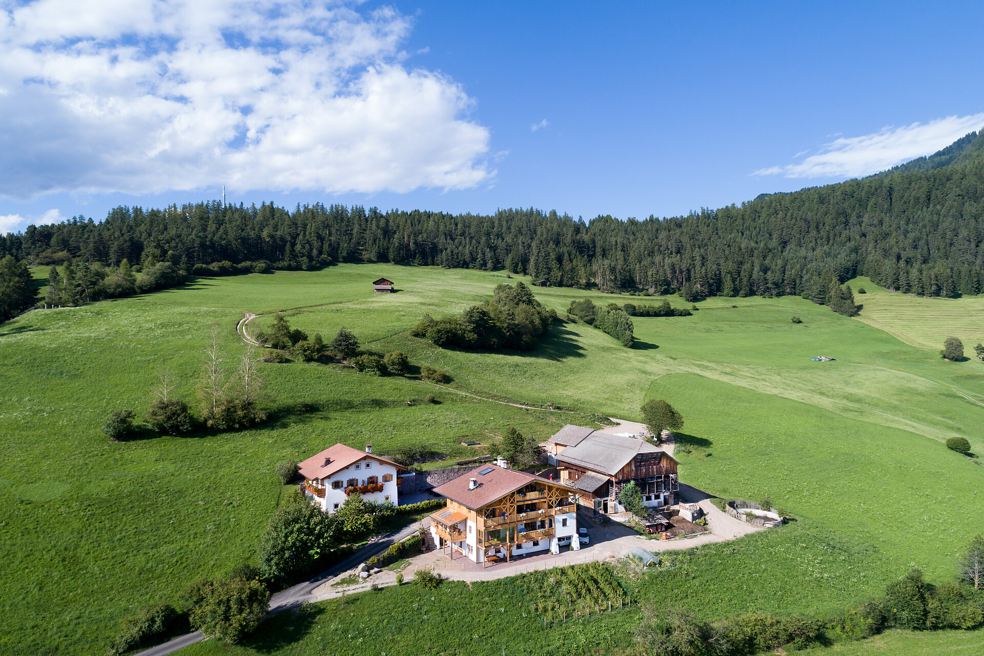 Maso Triefer Hof Castelrotto 4 suedtirol.info