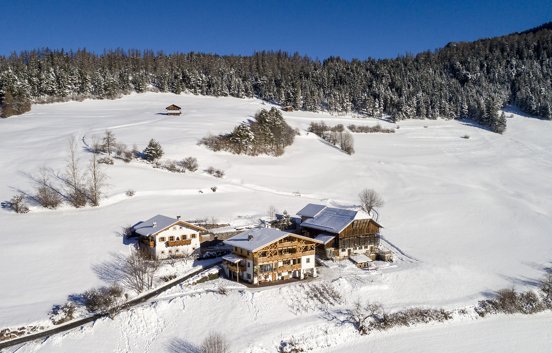 Maso Triefer Hof Castelrotto 7 suedtirol.info