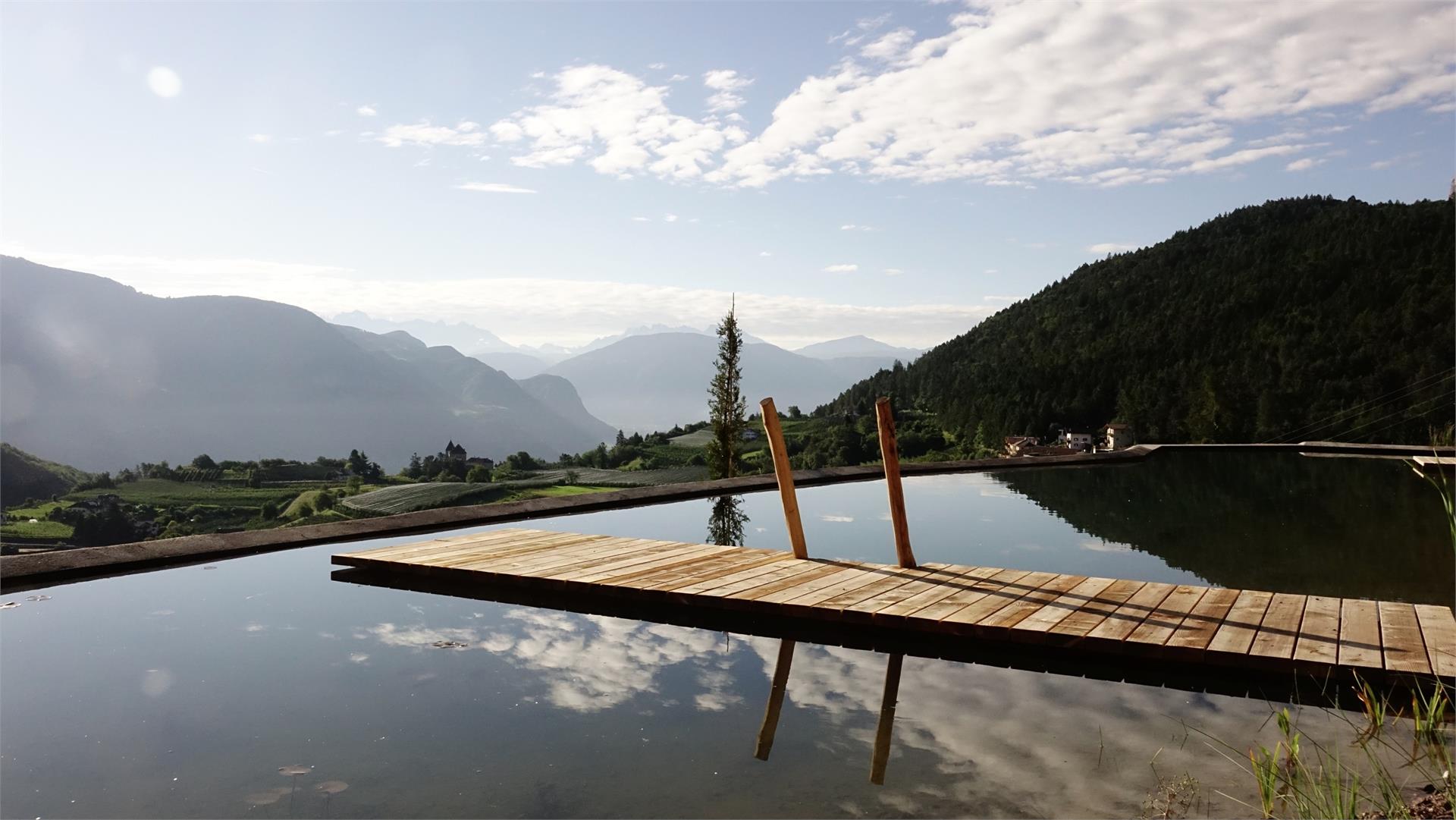 Tirolerhof Tesimo 2 suedtirol.info