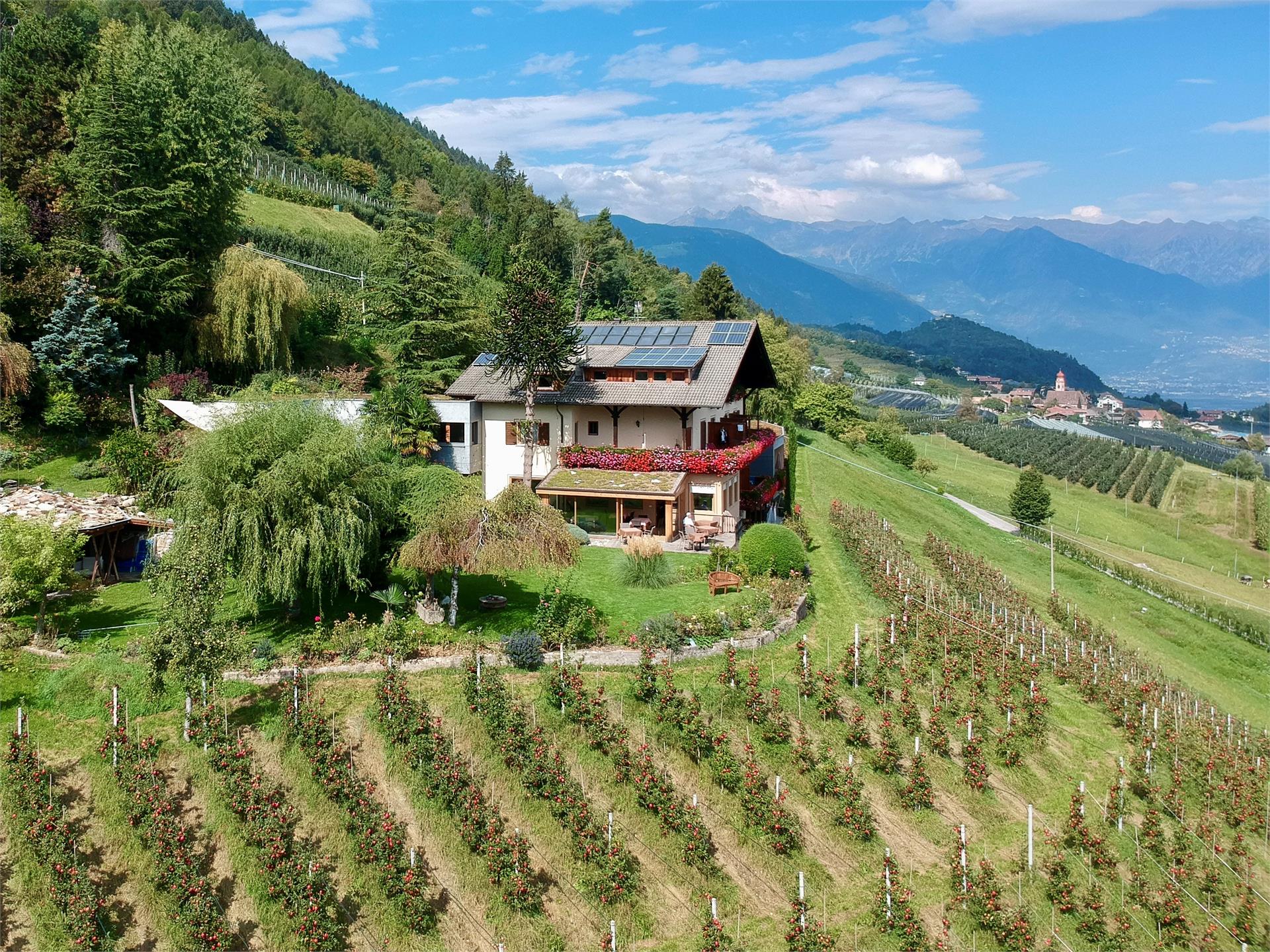 Tirolerhof Tesimo 1 suedtirol.info