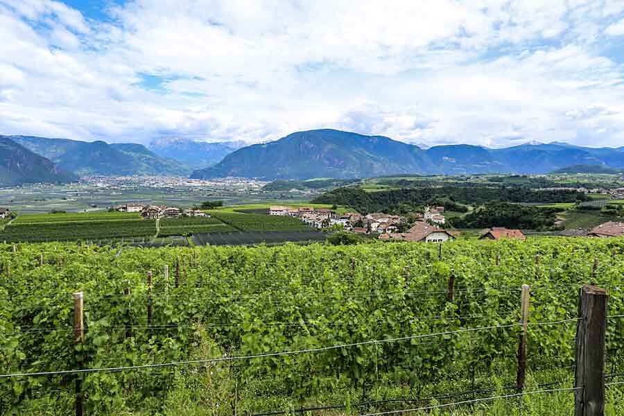 Giardino