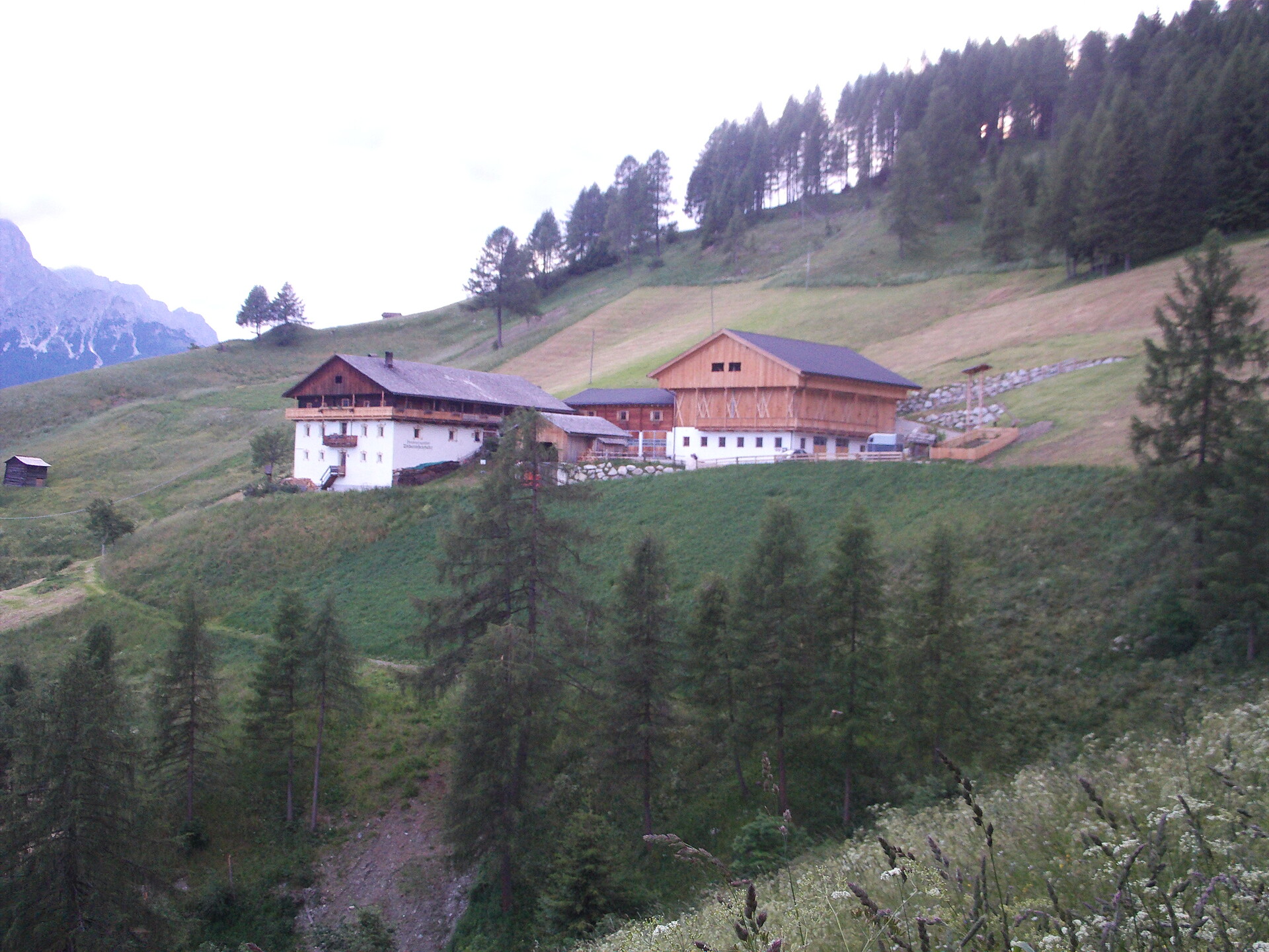 Tschurtschenthalerhof