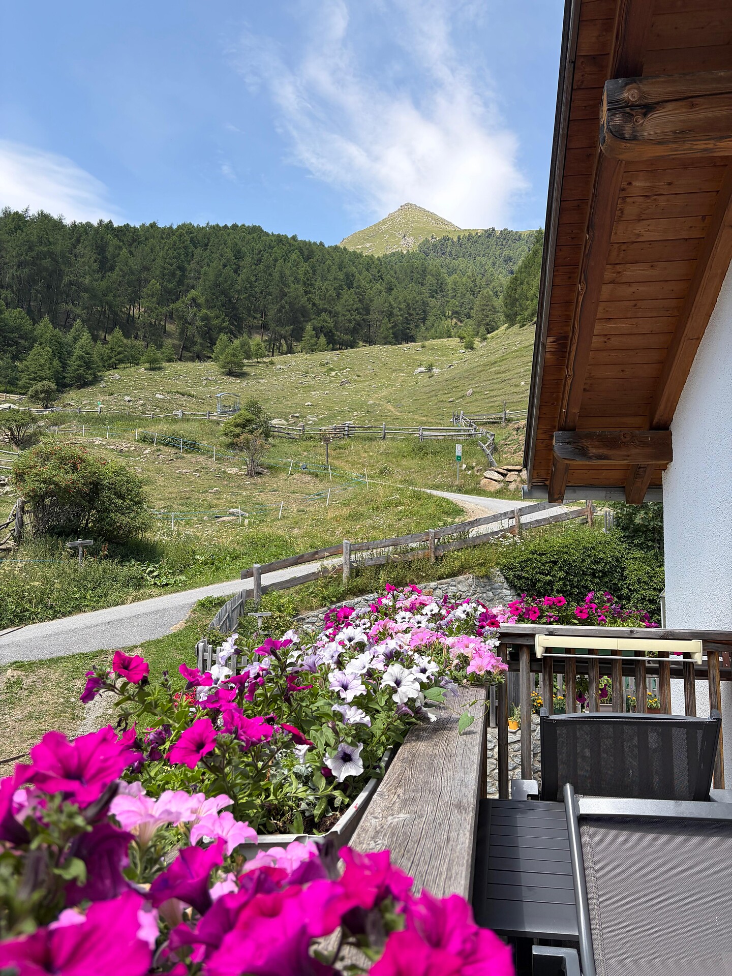 Thaneihof - Vinschgau - #14 - suedtirol.info