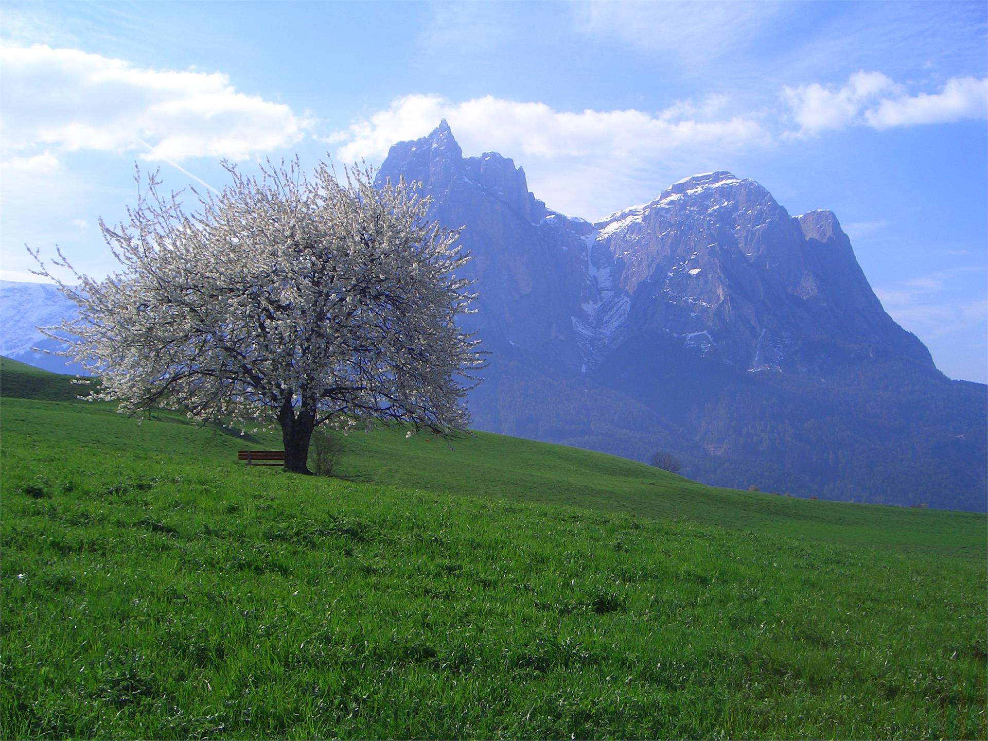 Unterstandroahof Kastelruth 5 suedtirol.info