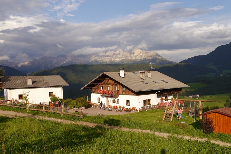 The farm